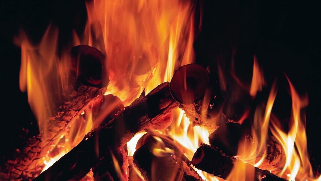 1244x700 Burning Campfire In Night Forest Up Static Shot. Hot Flaming Bonfire On Black Background