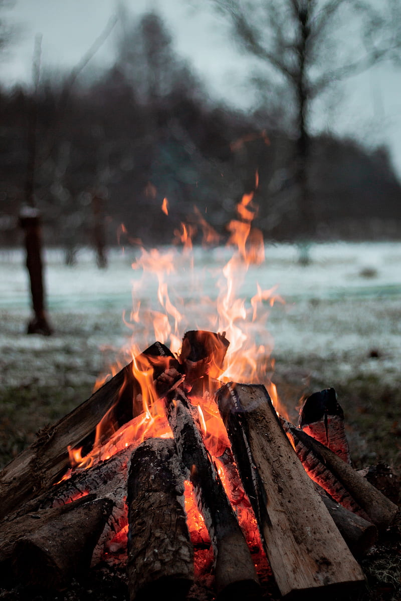 800x1200 Fire, burning, forest, nature, woods, flame, , camp, HD phone wallpaper