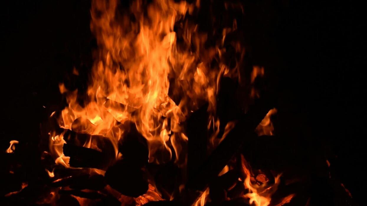 1244x700 Wood Fire Background Stock Video Footage for Free Download