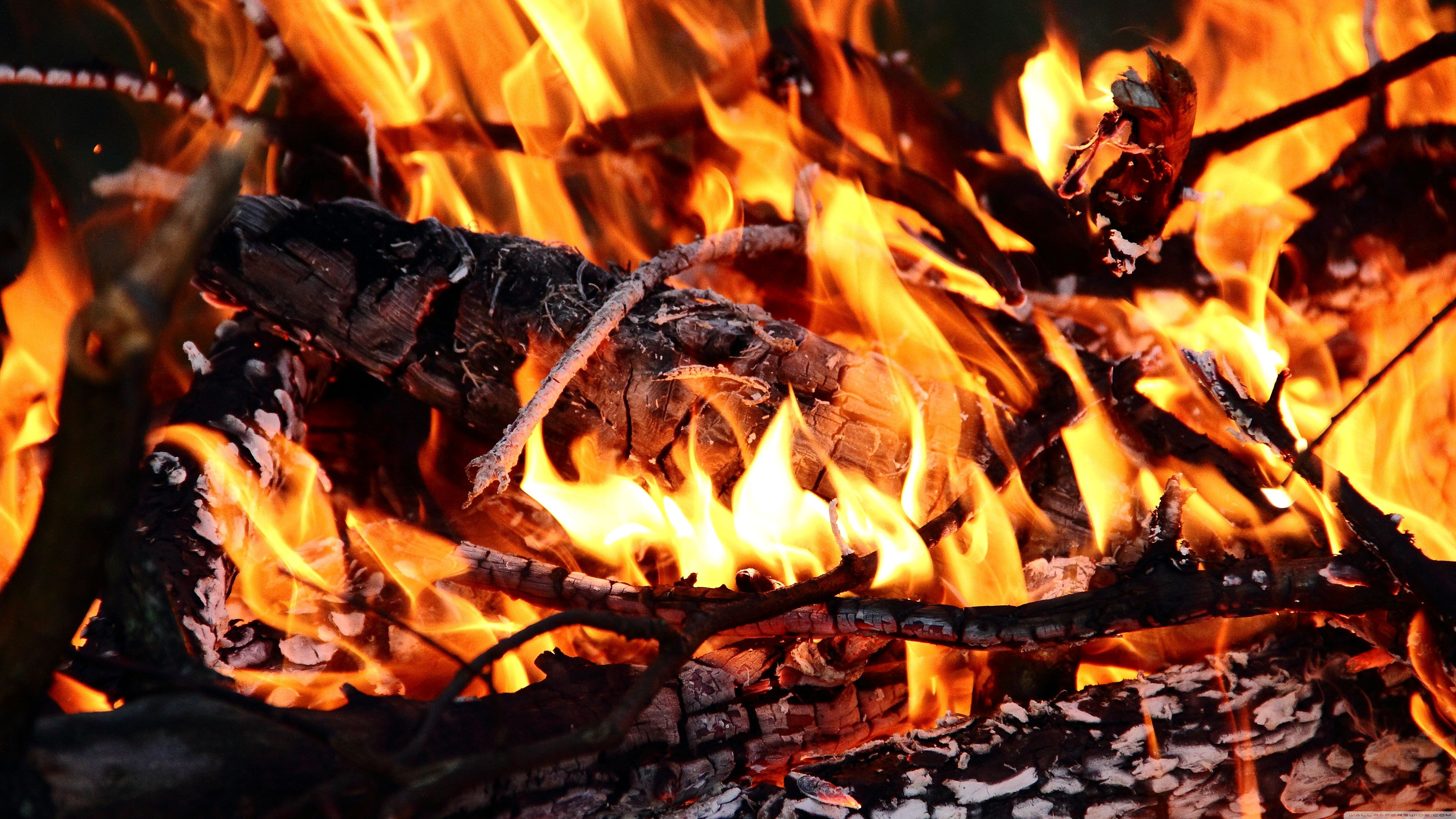 5120x2880 Burning Wood 4K UHD Wallpaper for UltraHD Desktop and TV : Widescreen and UltraWide Display : Dual Monitor : Smartphone and Tablet Devices