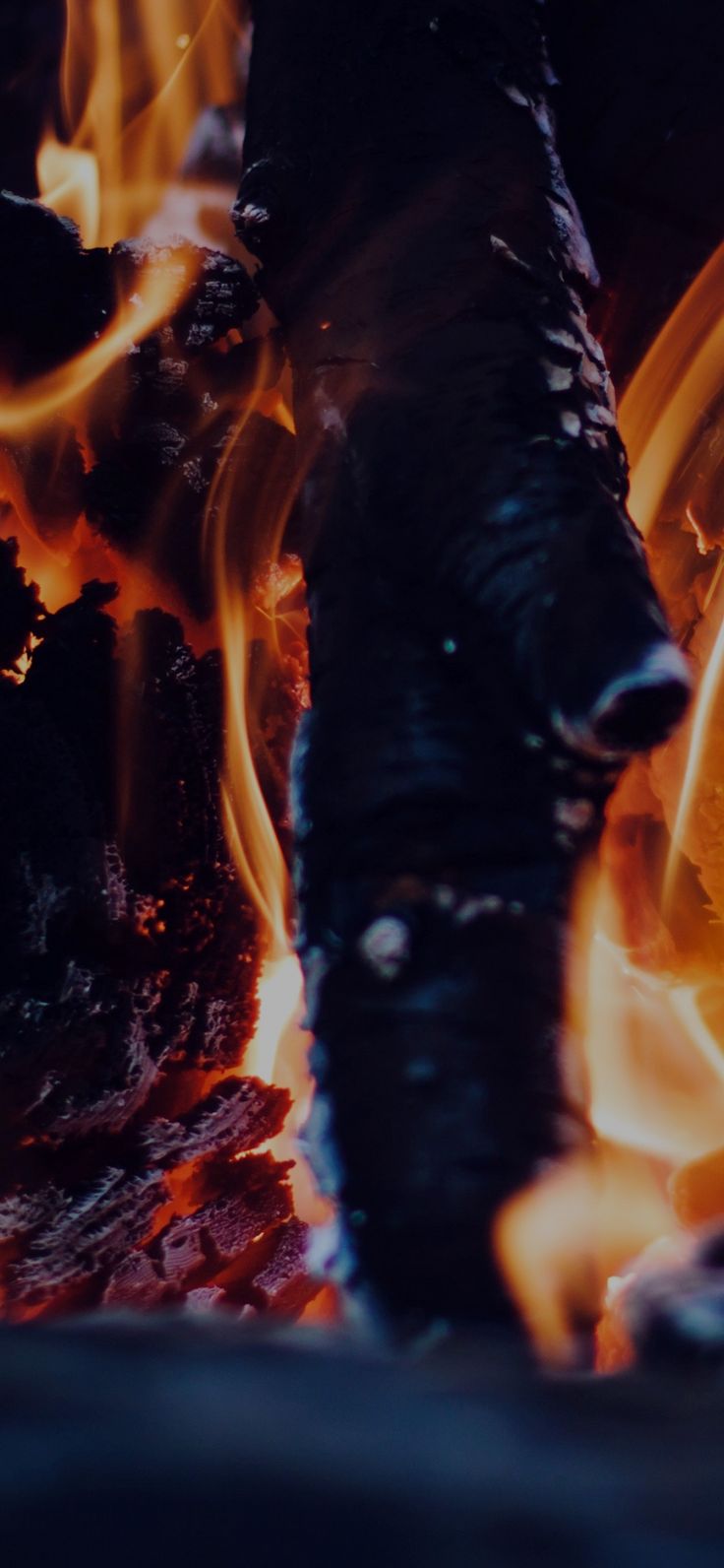736x1592 Close Up Burning Fire Wood