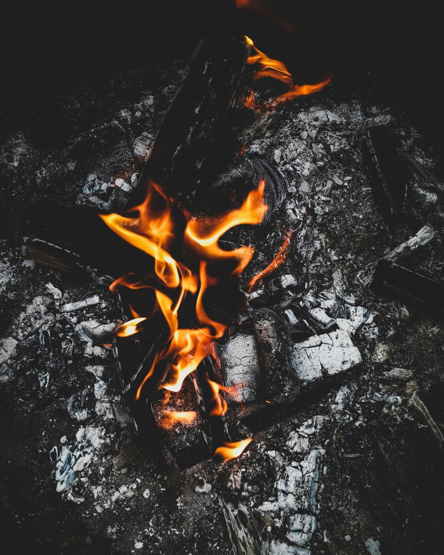 1536x1920 Highlighting the true cost of wood burning on Urban Health