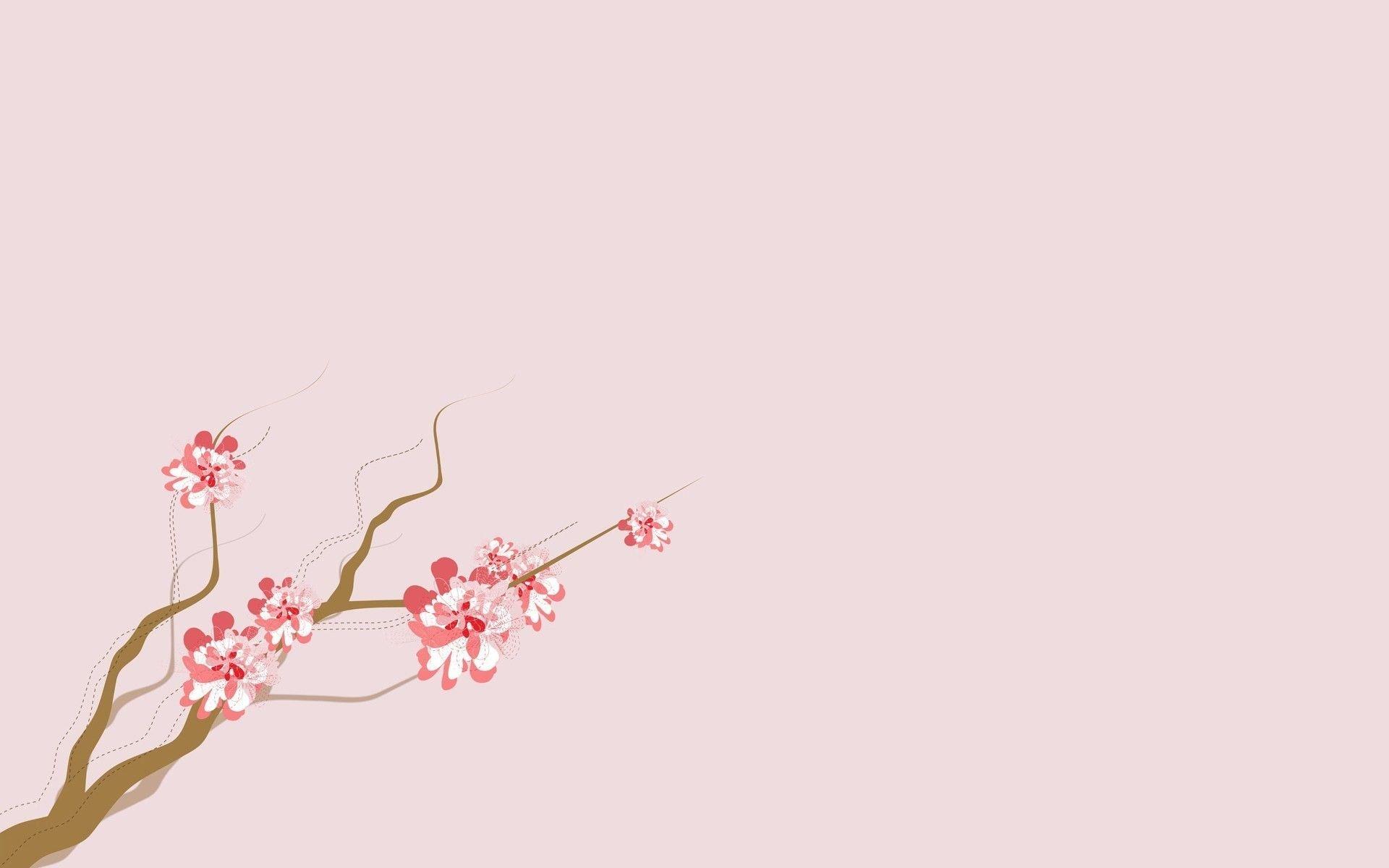 1920x1200 Cherry Blossom Background
