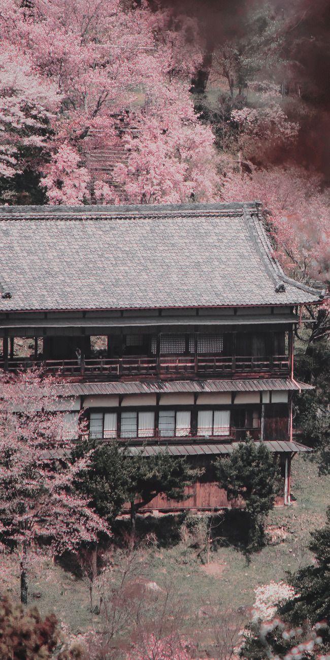 650x1300 japan wallpaper Tumblr posts