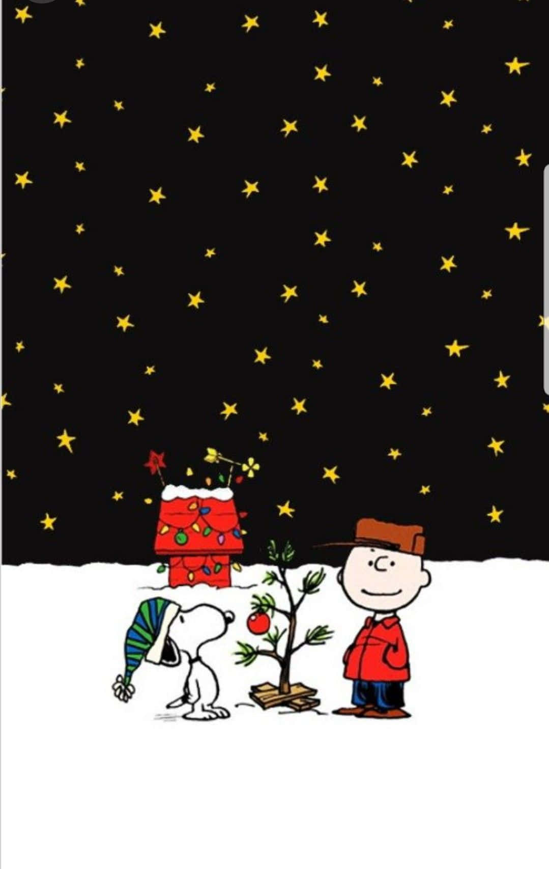 1079x1707 Download Cute Snoopy Christmas Dark Evening With Stars Wallpaper
