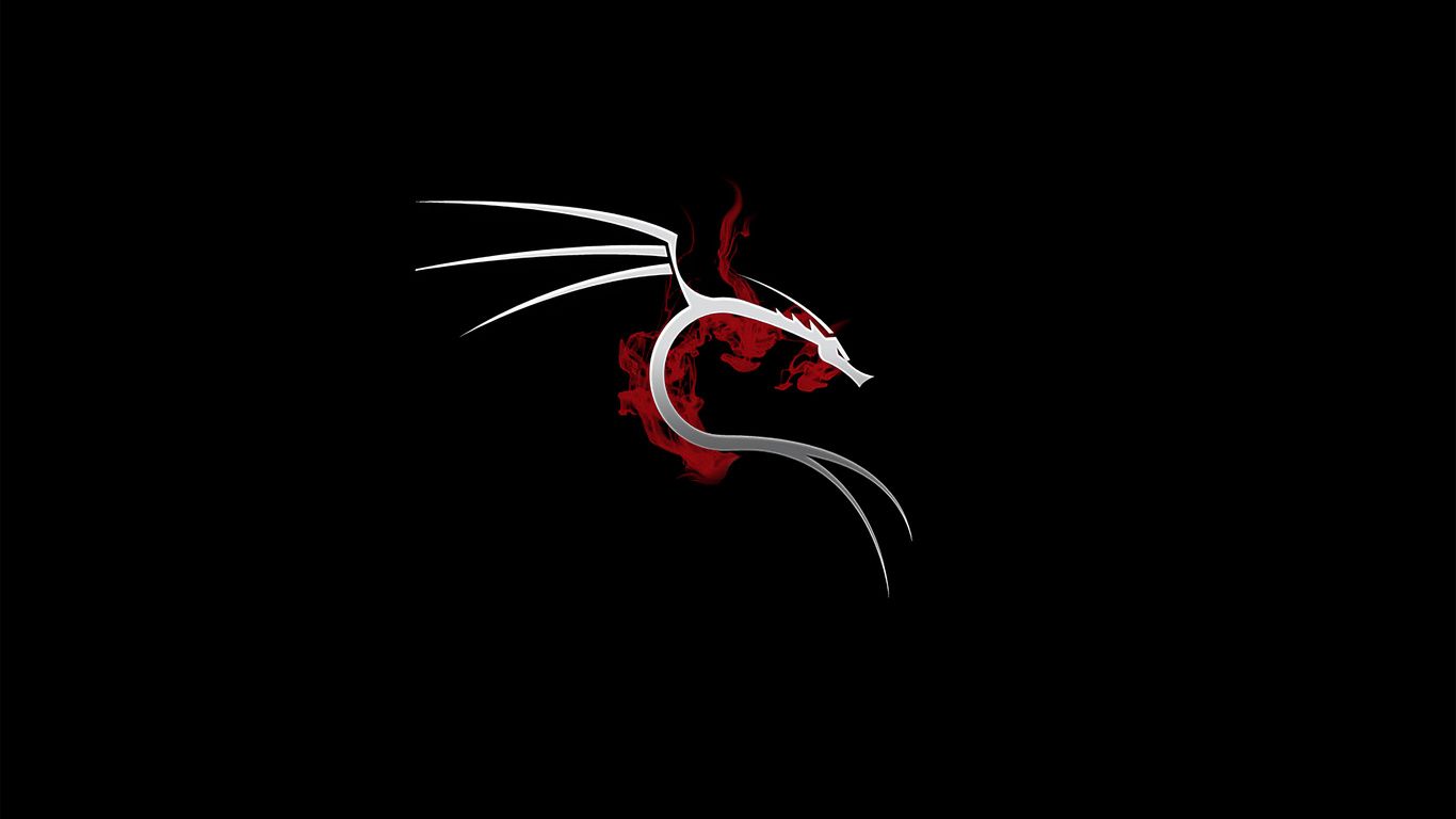 1366x768 Kali Linux 4k Laptop HD , HD 4k Wallpaper, Image, Background, Photos and Picture