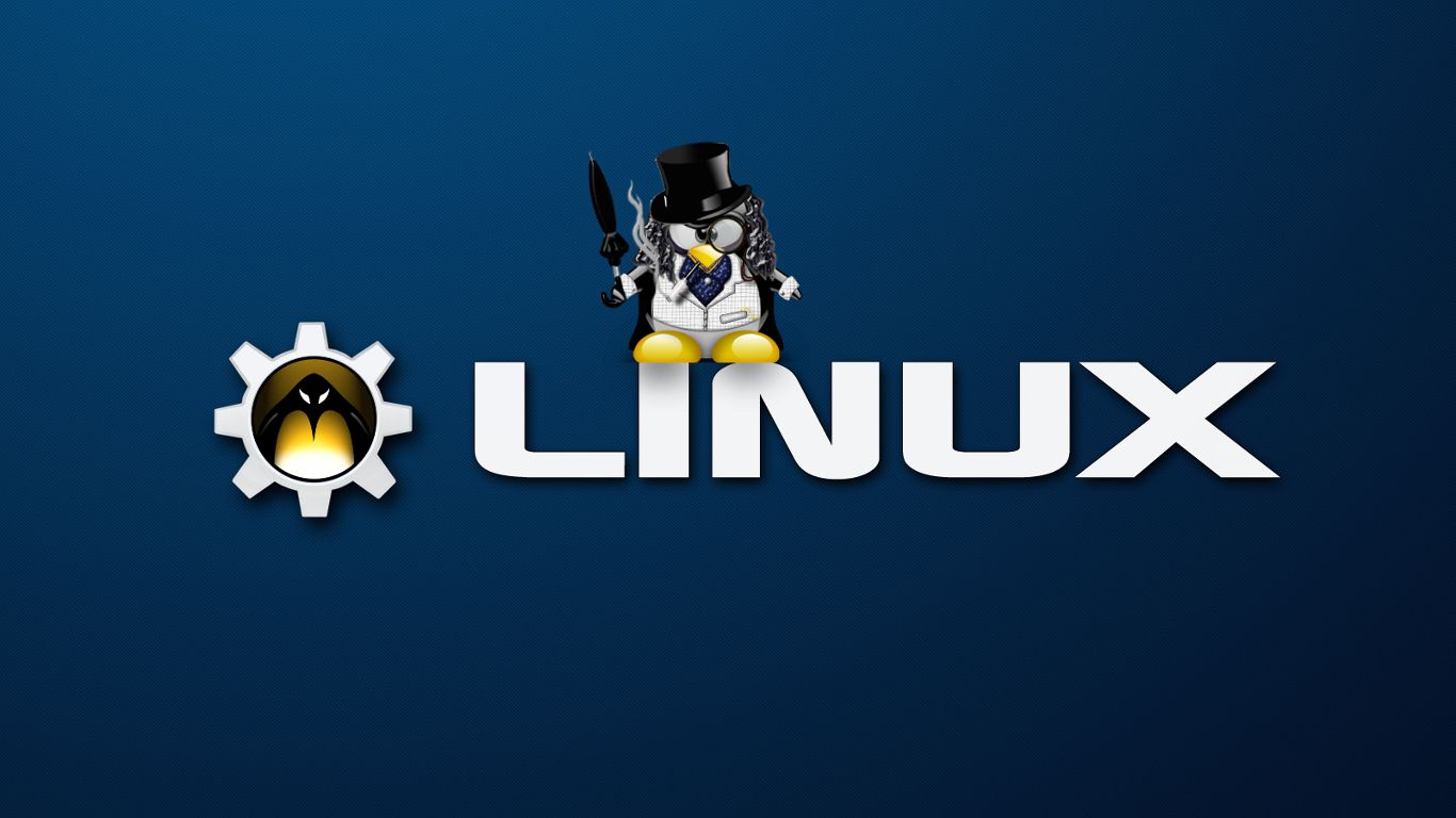 1366x768 Linux Penguin Wallpaperx768
