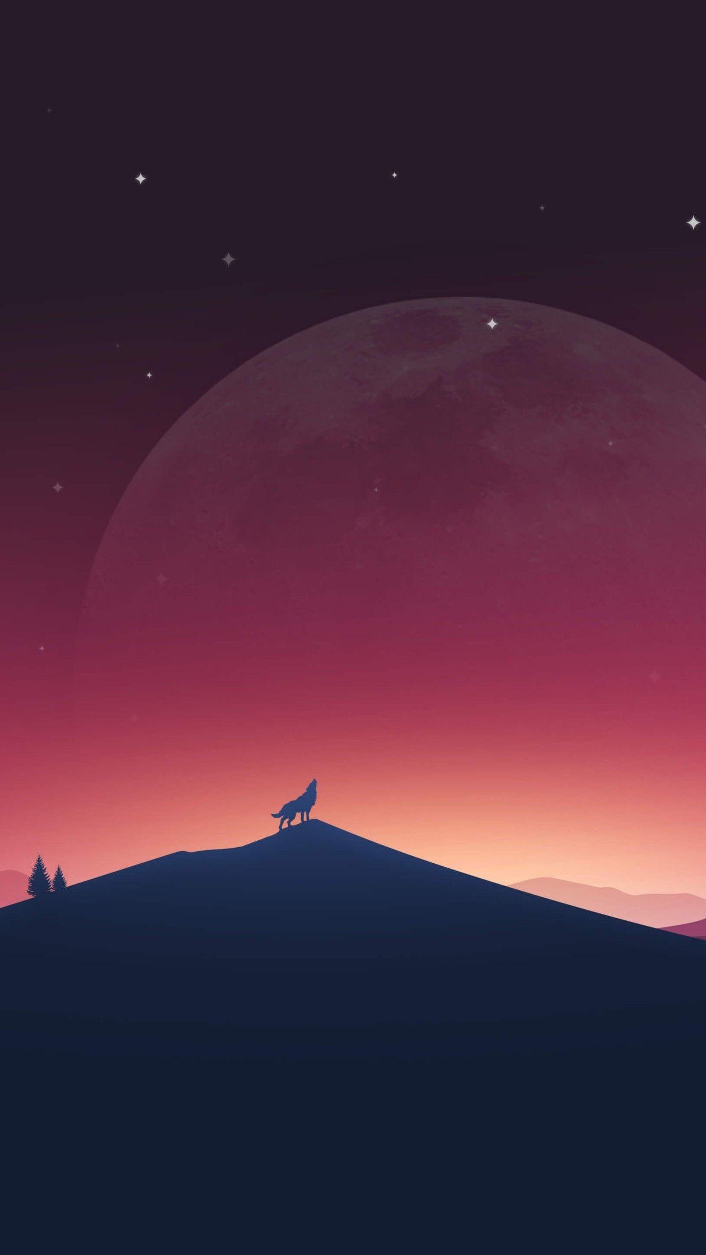 1440x2560 HD Nexus Wallpaper