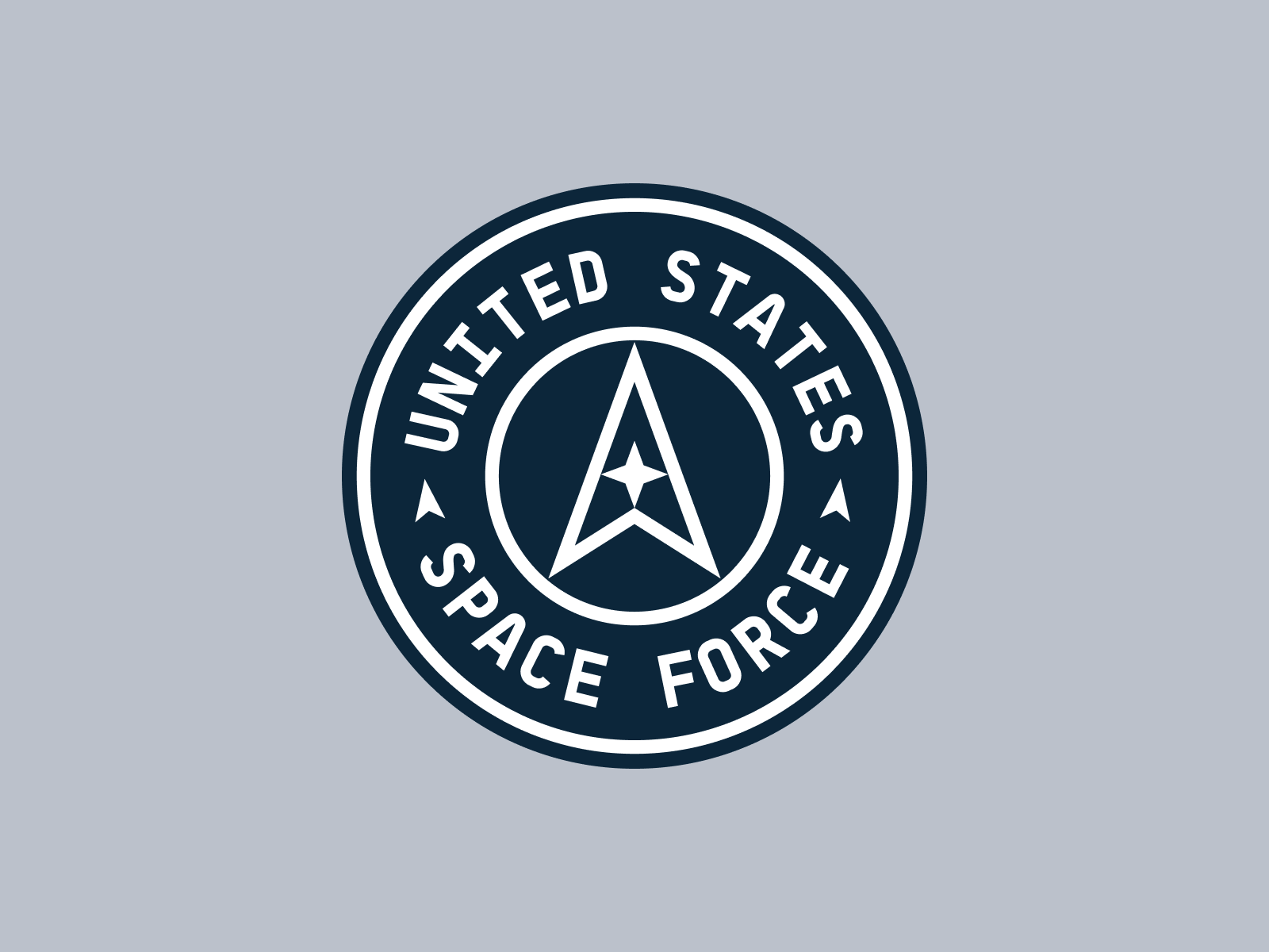 1600x1200 U.S. Space Force Rebrand by Benjamin Oberemok on Dribbble