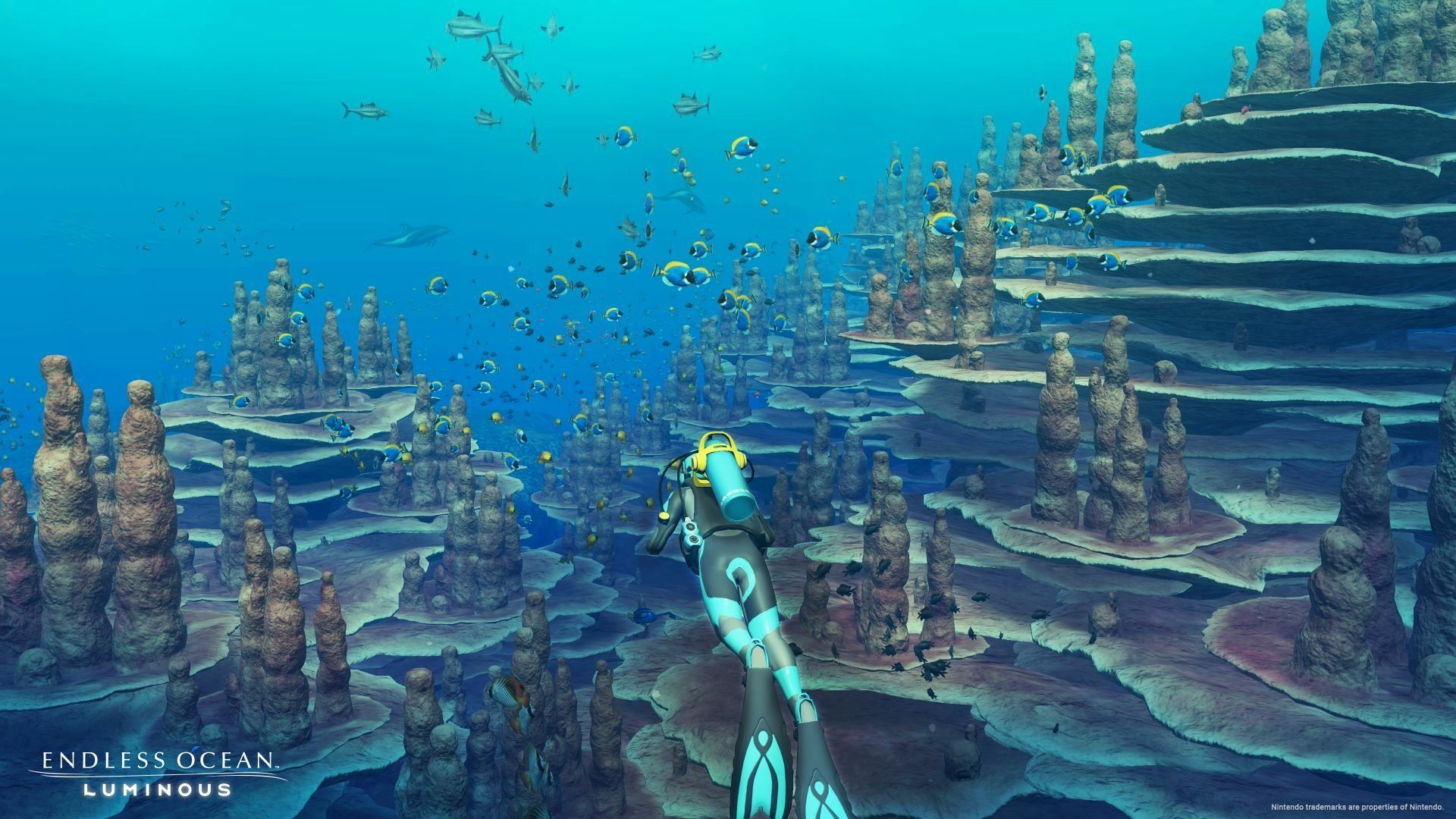 1920x1080 Download Endless Ocean HD Wallpaper