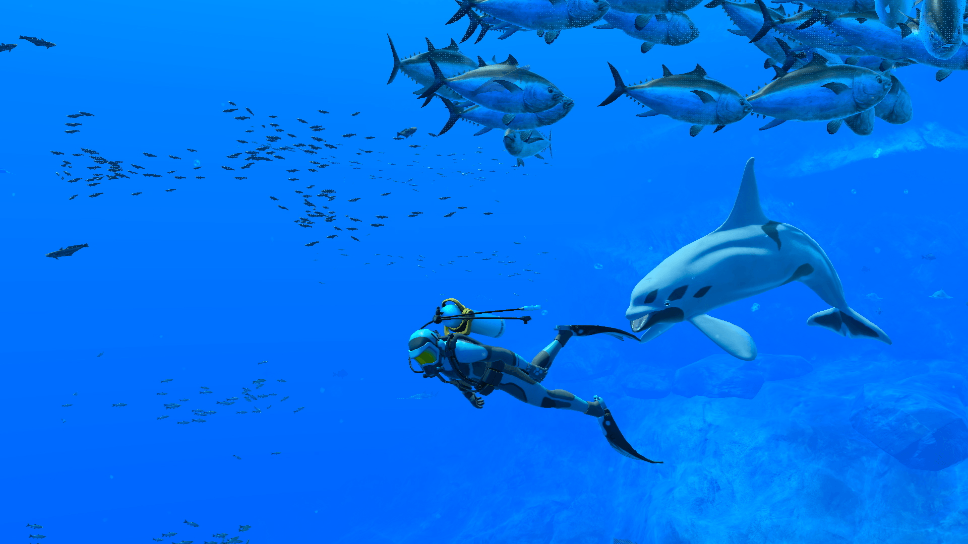 1920x1080 Endless Ocean: Luminous review: chill underwater adventure runs out of air