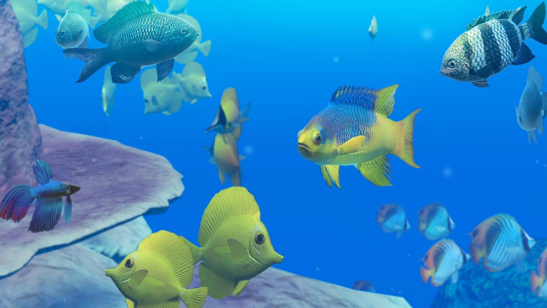 1920x1080 Download Endless Ocean 4k Ultra HD Wallpaper