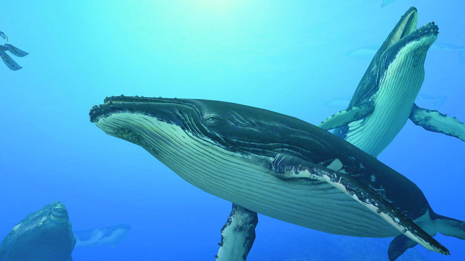 1920x1080 Endless Ocean 2: Adventures of the Deep Review