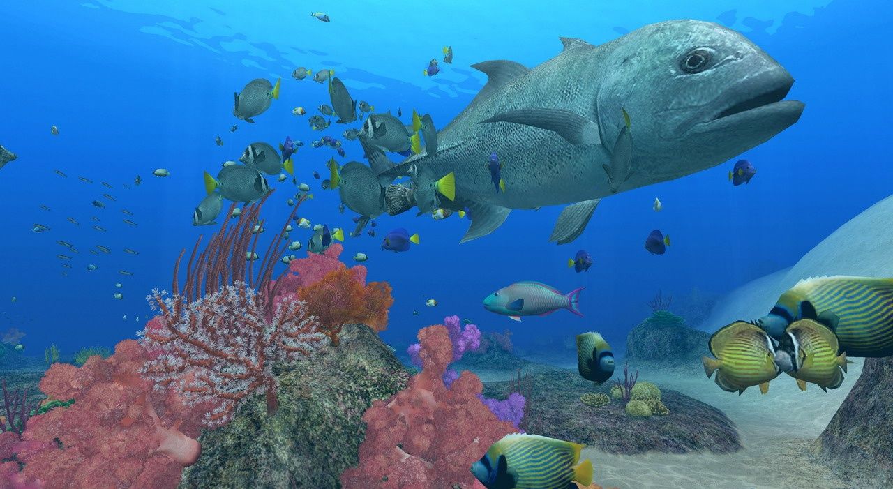 1280x701 Endless Ocean: Blue World Review
