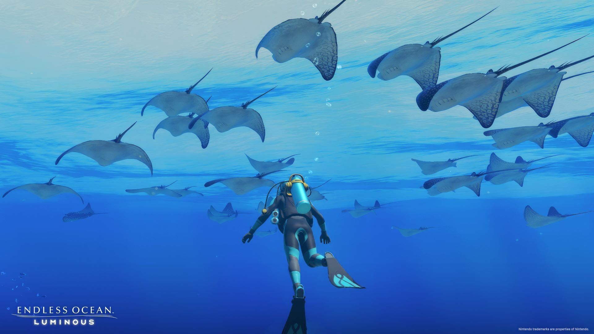 1920x1080 Download Endless Ocean HD Wallpaper