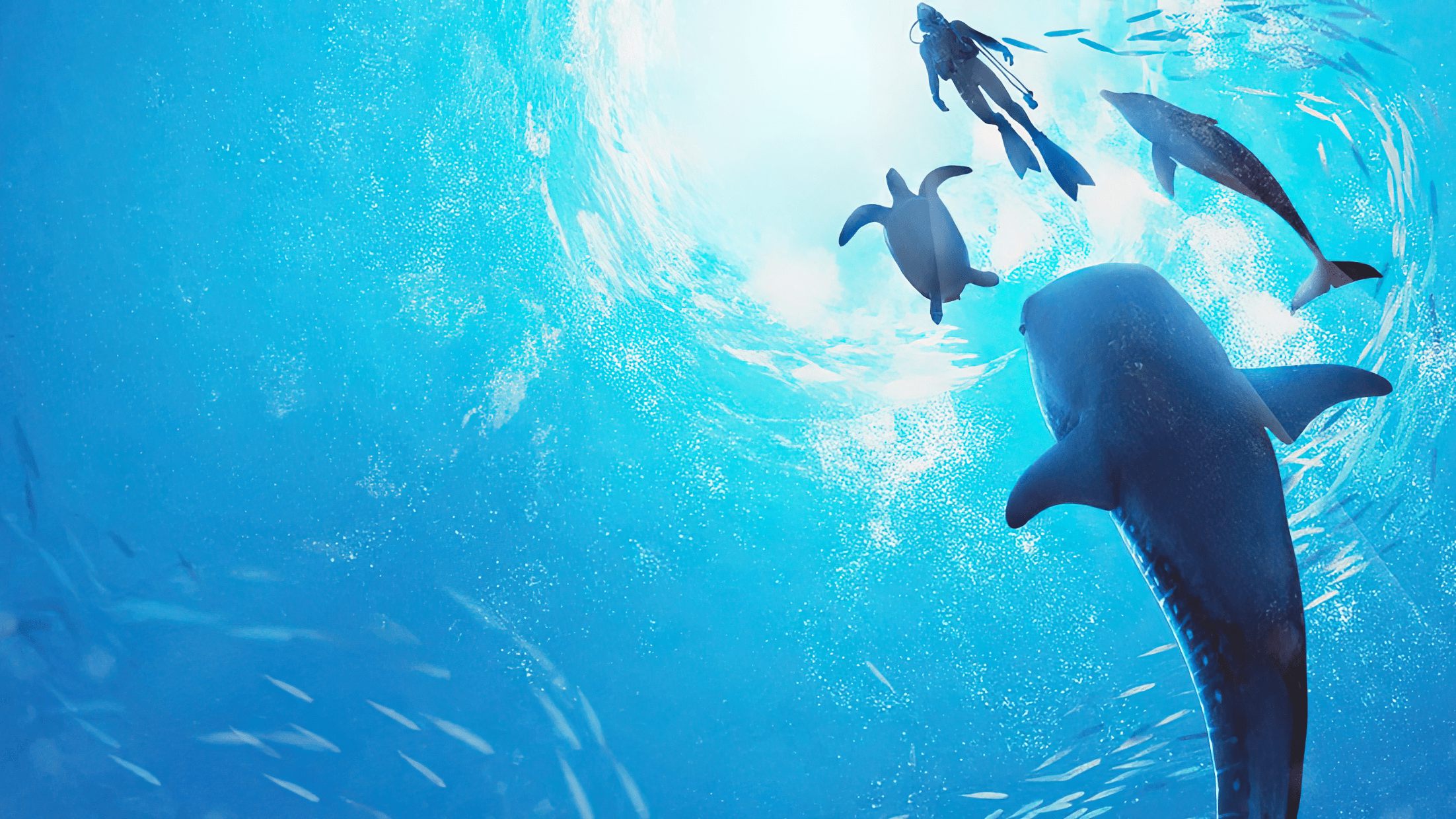 2204x1240 Endless Ocean: Luminous (2024)