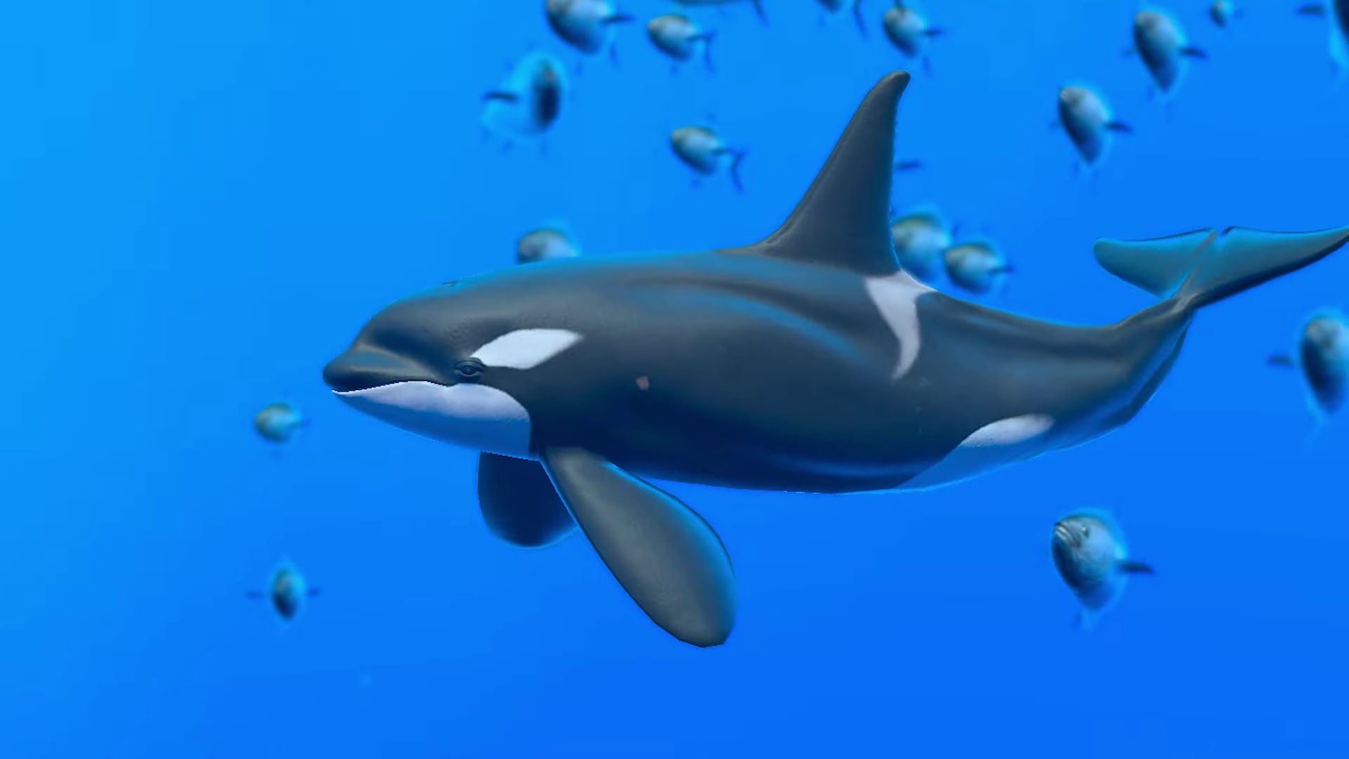 1920x1080 Endless Ocean Luminous 'Sounds of the Sea' trailer