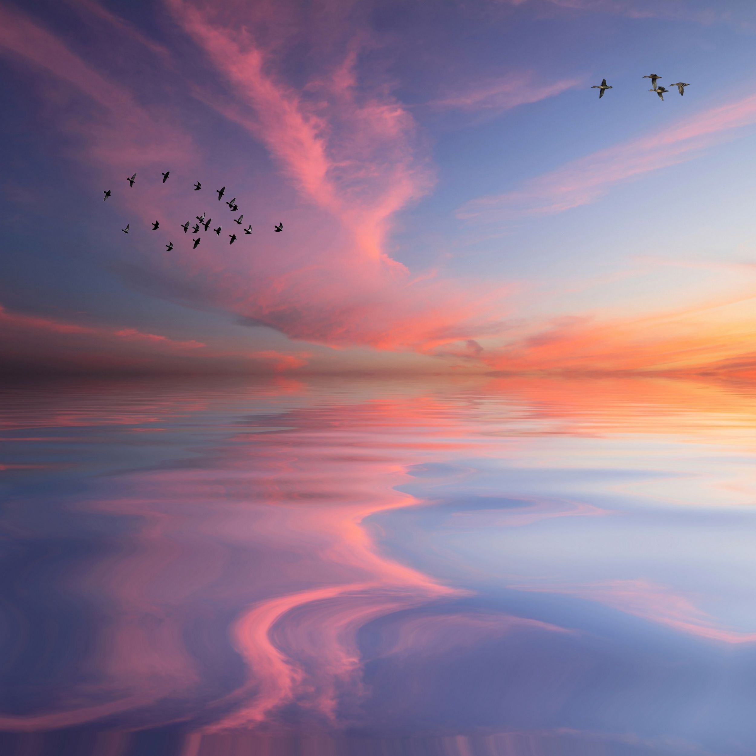 2500x2500 Most Popular Gorgeous Stunning Sunset Over The Wallpaper