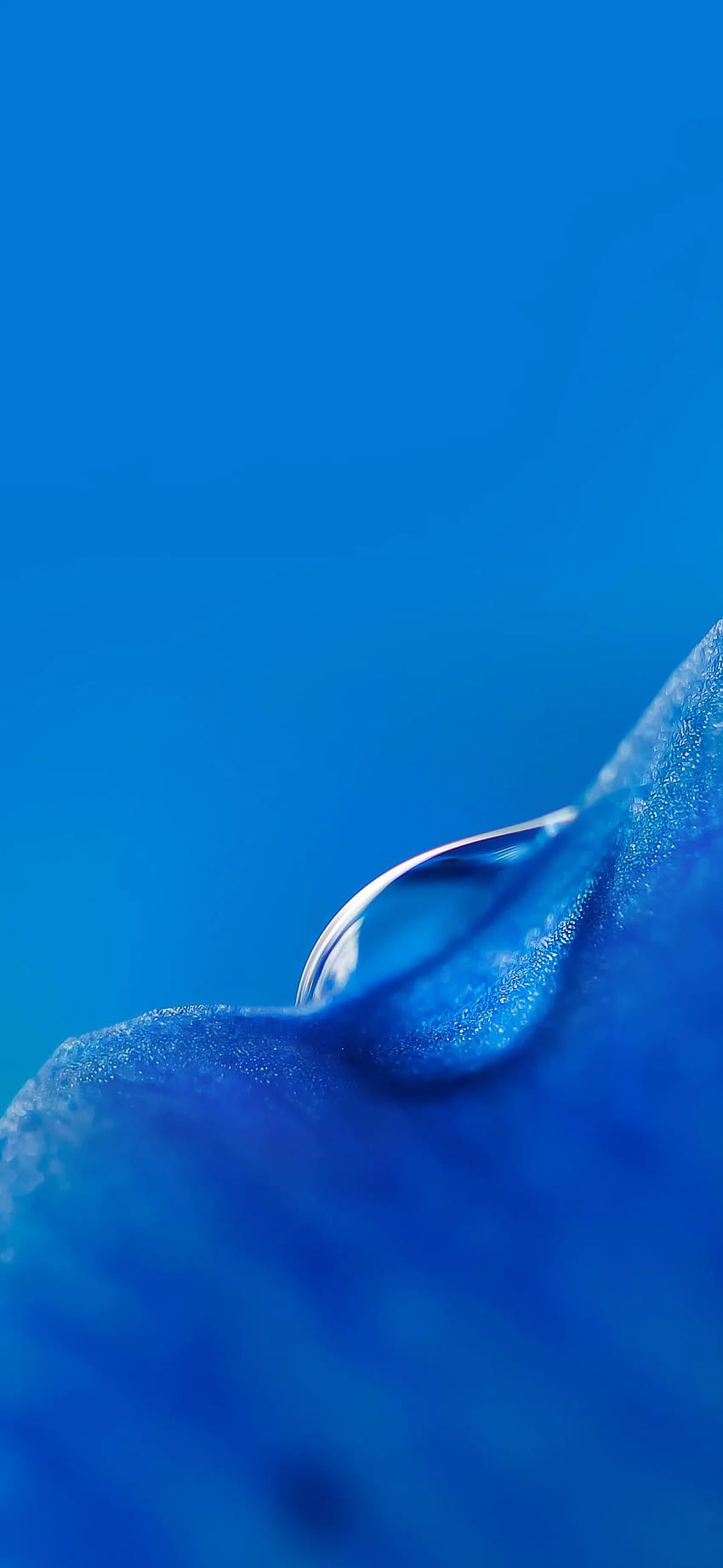850x1842 Xiaomi Mi 9 Stock 15 - [], Xiaomi MI 9T HD phone wallpaper