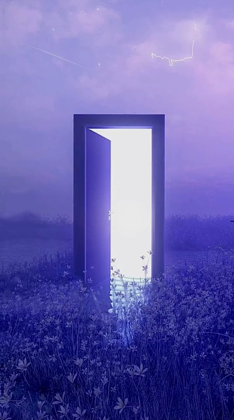 800x1437 Dream, aesthetic, dreamcore, dreams, flower, flowers, forest, galaxy, stars, HD phone wallpaper