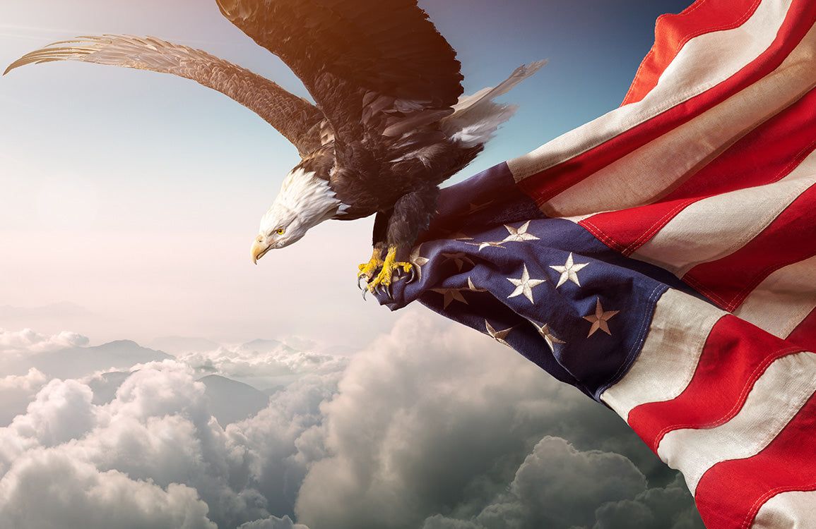 1155x750 Majestic Eagle American Flag Mural Wallpaper