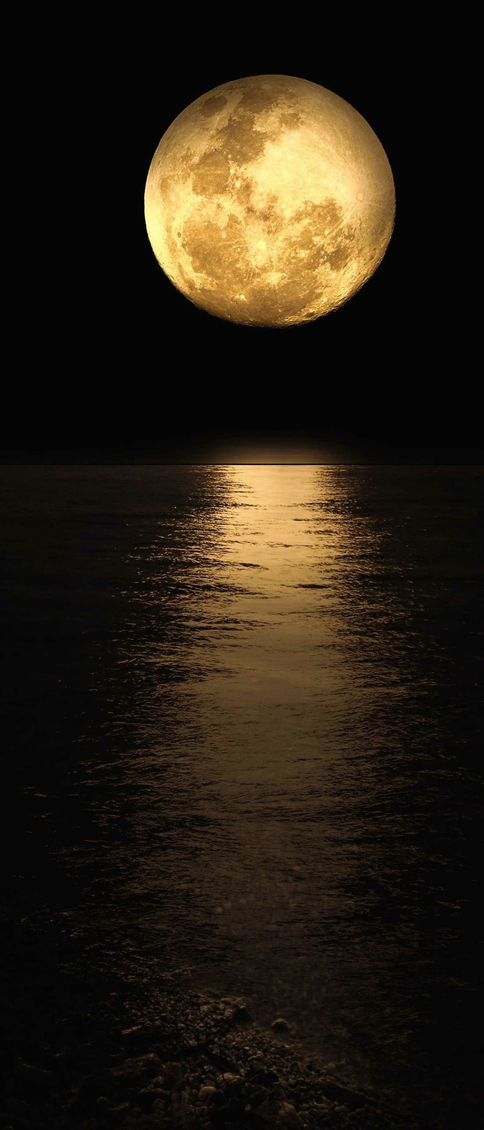 1644x3840 Moon Wallpaper