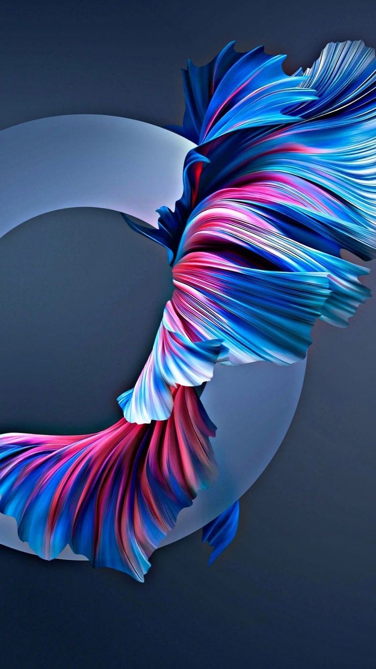 736x1308 4k Ultra HD Wallpaper