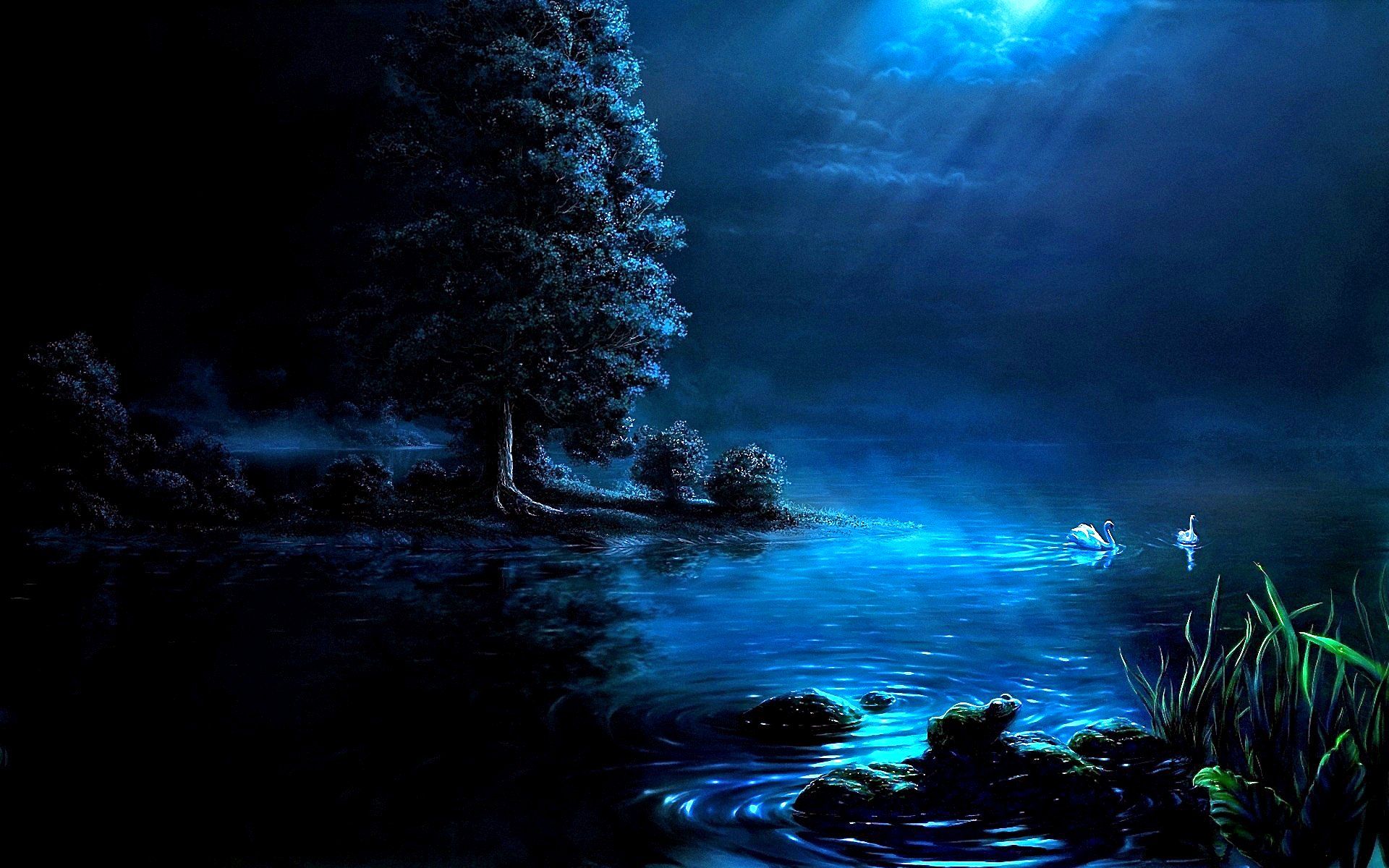 1920x1200 Magical Nightscape: HD Wallpaper of Rainy Pond with Swansx1200