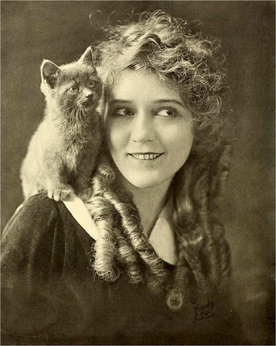 910x1139 Mary pickford 1080P, 2K, 4K, 5K HD wallpaper free download