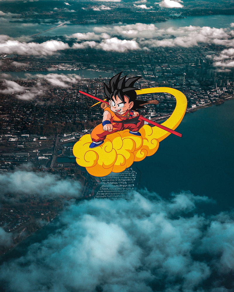 800x1000 Goku, cloud, sky, songoku, Dragonball, Nimbus, animes, DragonballZ, anime, HD phone wallpaper