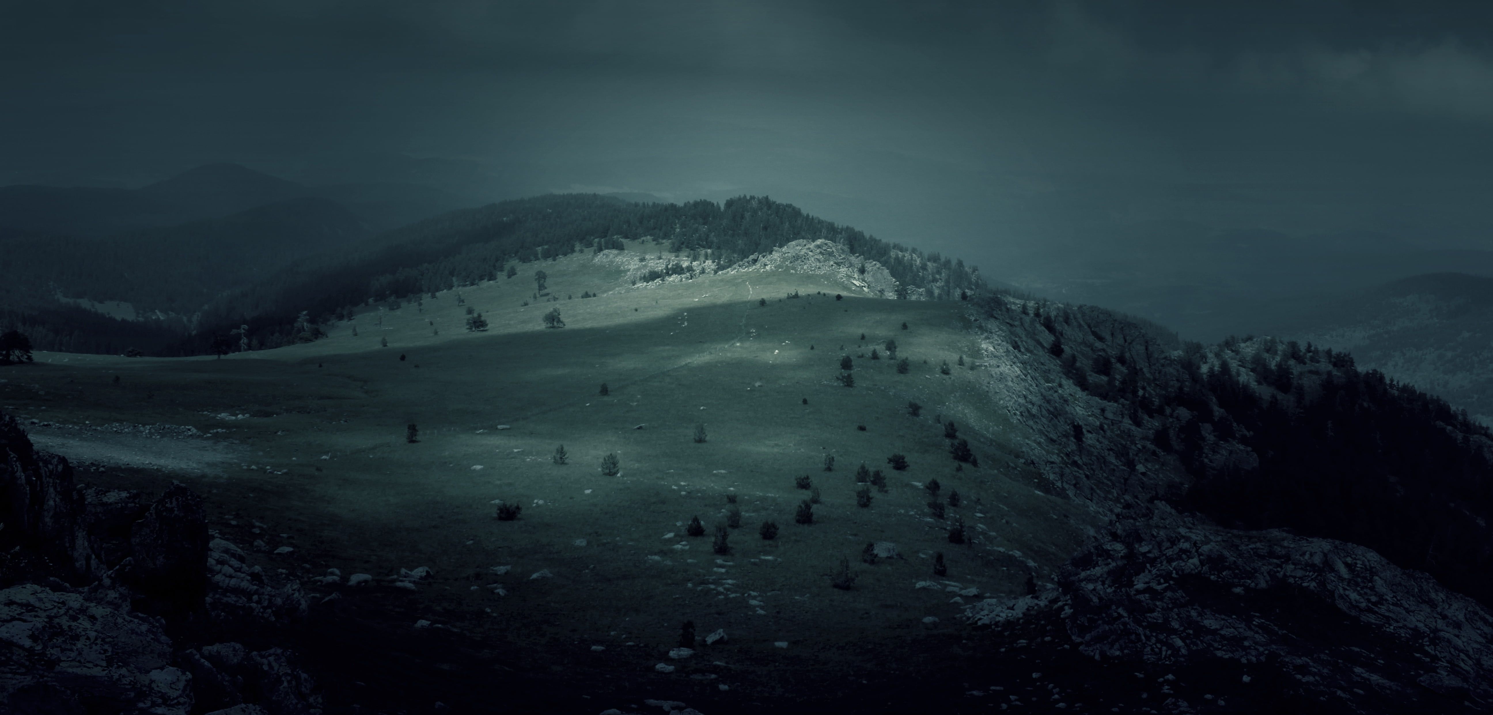5184x2484 Royalty Free Photo: Landscape Photography Of Tall Trees On Field