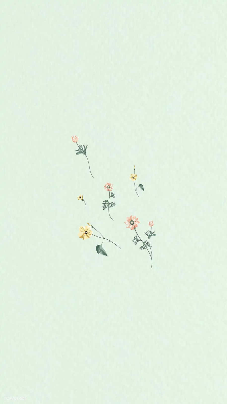 901x1600 Download The perfect combination of freshness and elegance, this mint green background will make any space look modern and inviting