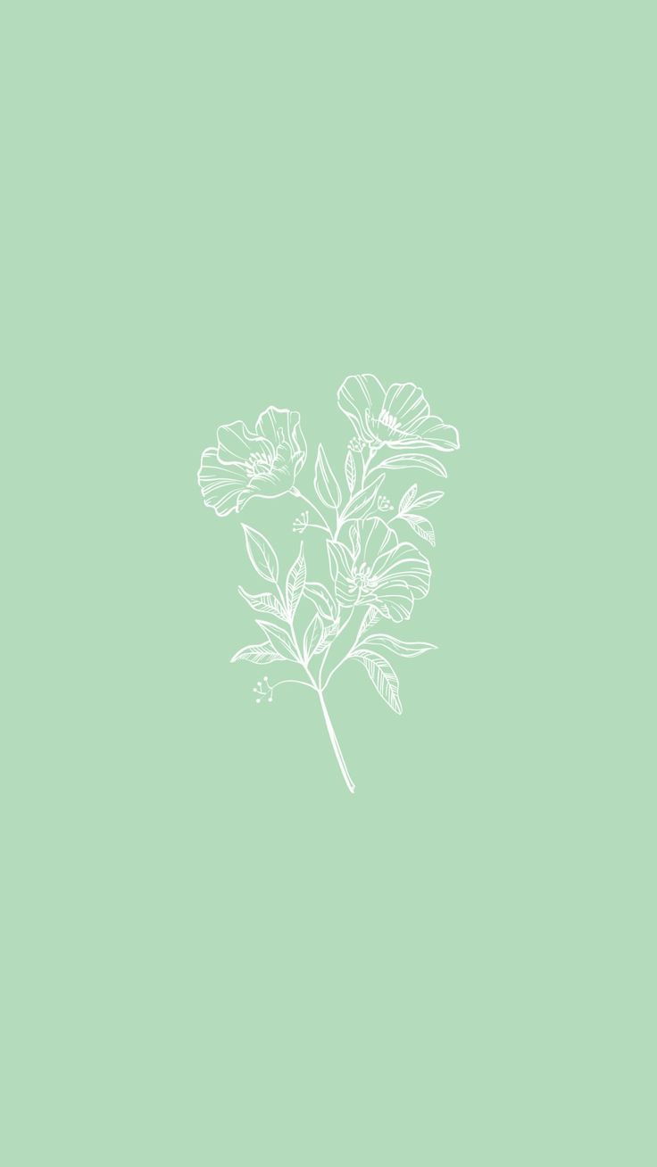 736x1308 Green Wallpaper for Mobile