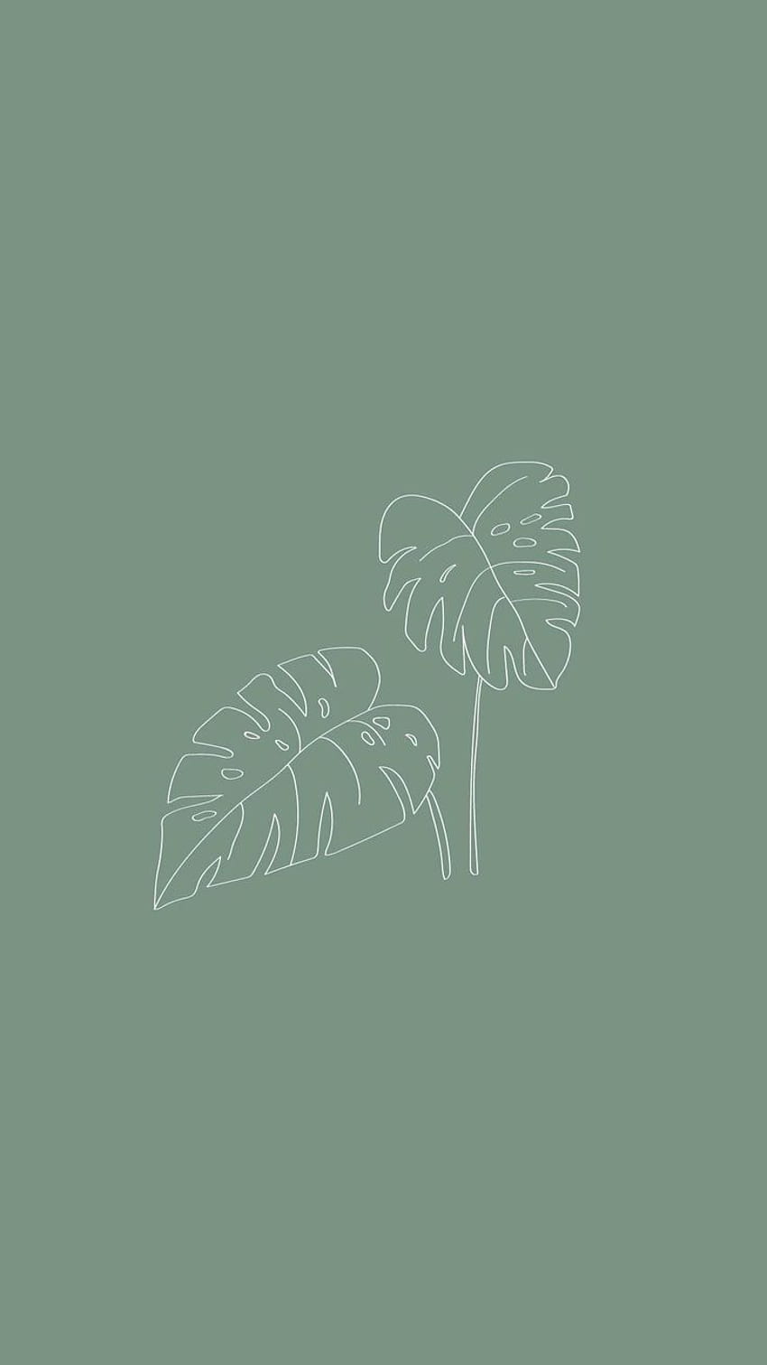 850x1511 Sage Green. Mint green iphone, Sage green, Mint green, Green Minimalist Aesthetic HD phone wallpaper