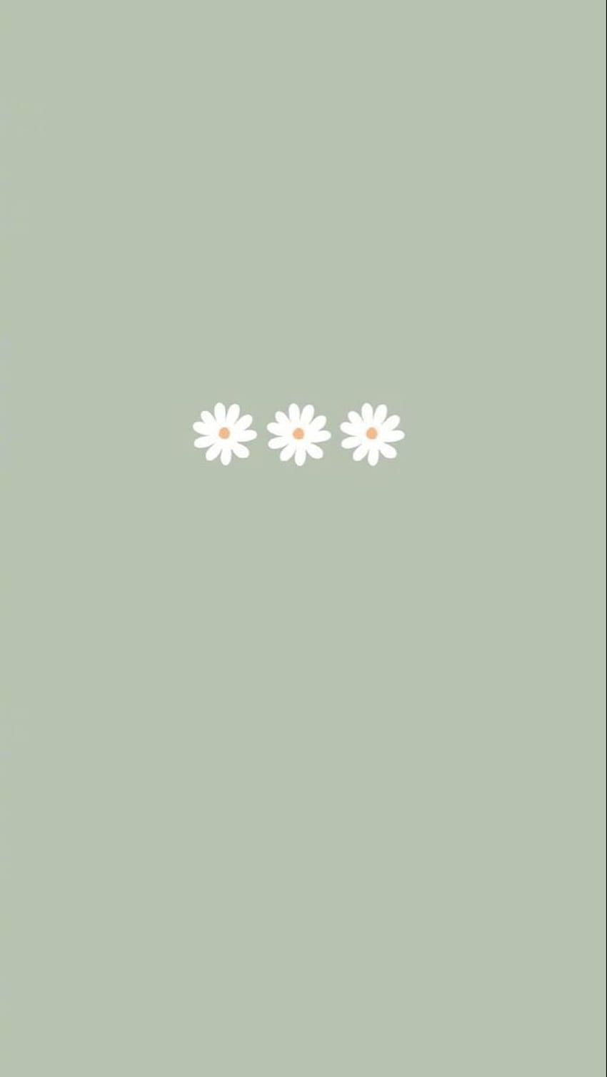 850x1509 Mint flowers :). iPhone green, Simple, Cute simple, Green Minimalist Aesthetic HD phone wallpaper