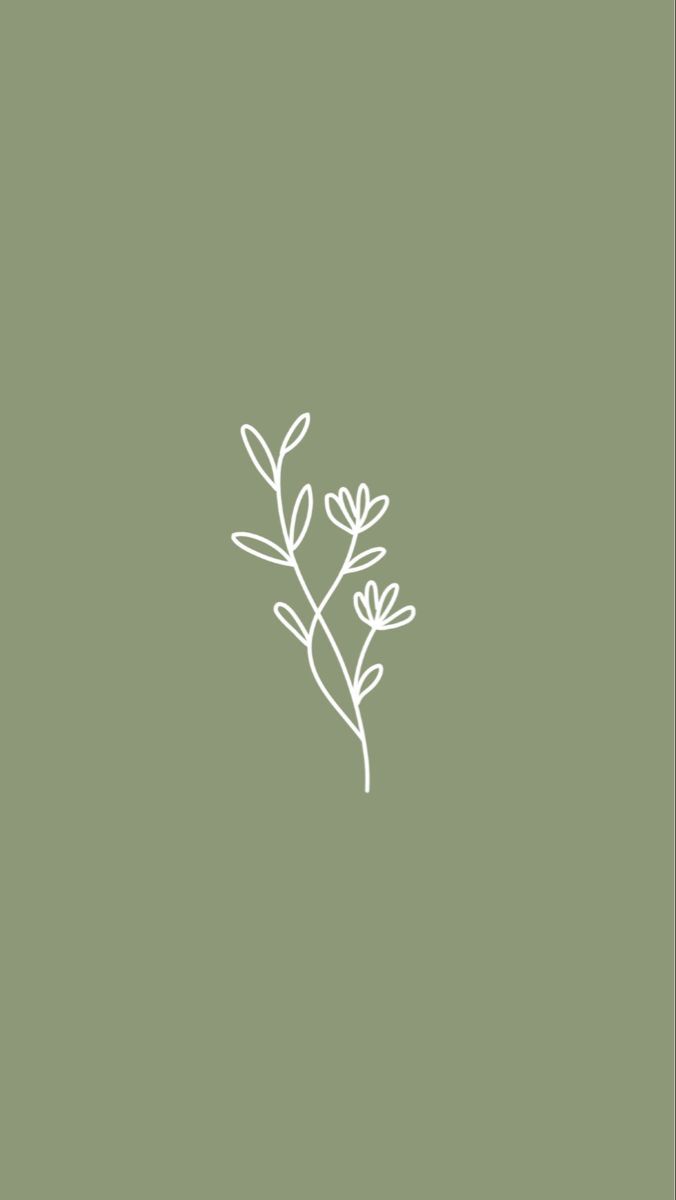 676x1200 Aesthetic Sage Green Wallpaper