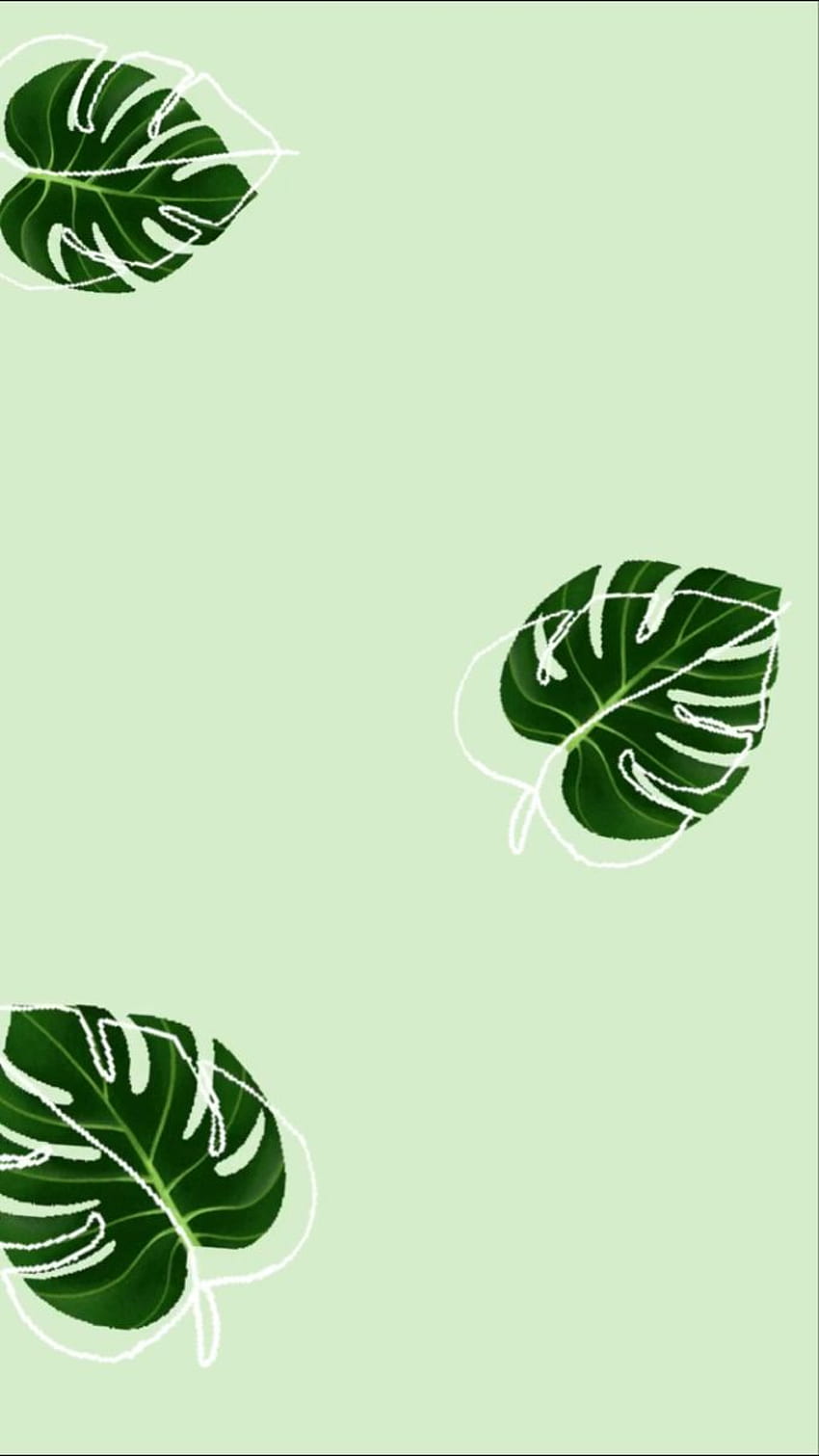 850x1511 iPhone green, Mint green, Leaves iphone, Green Minimalist Aesthetic HD phone wallpaper