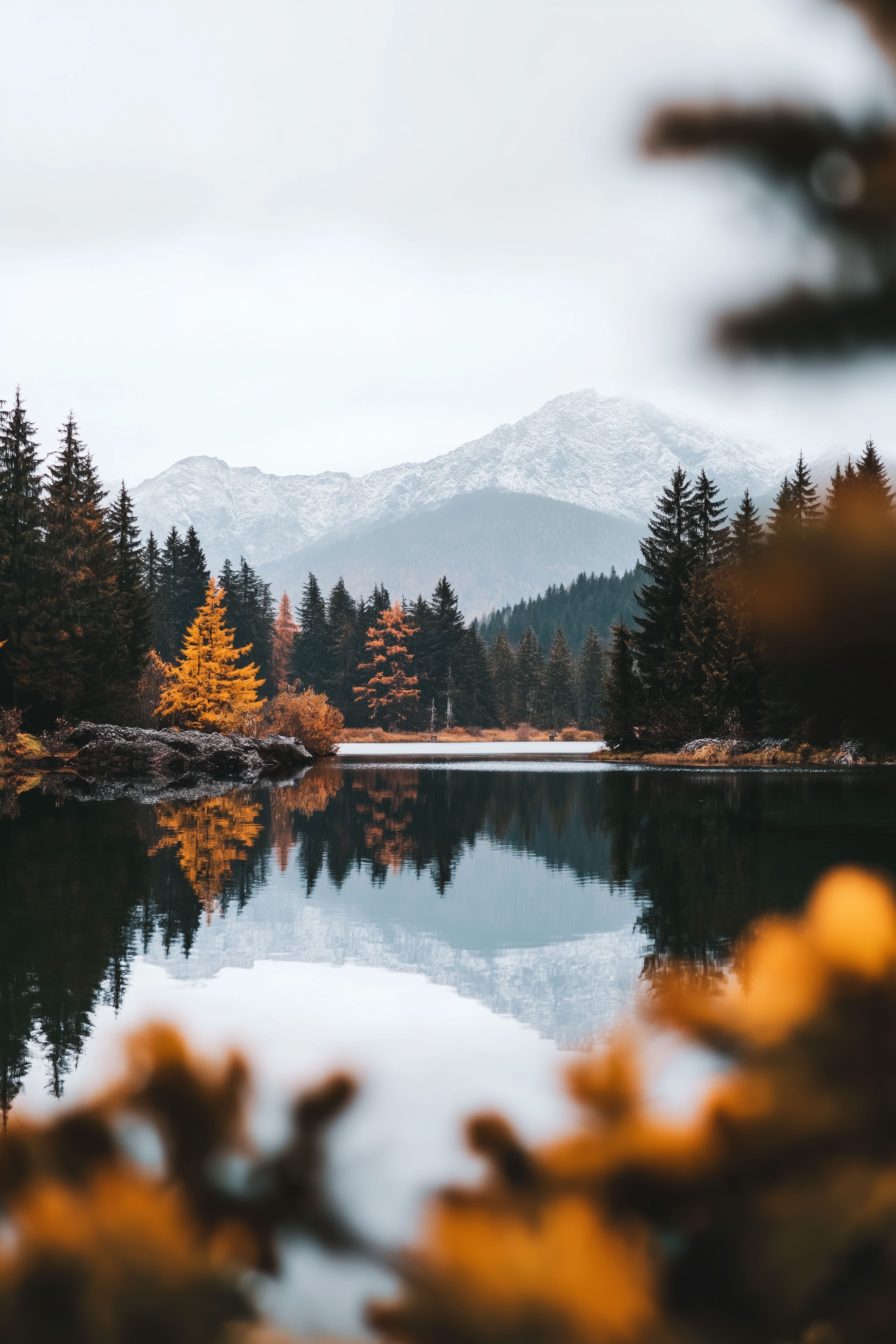 3584x5376 Fall Nature Image. Free Image, Background and Wallpaper