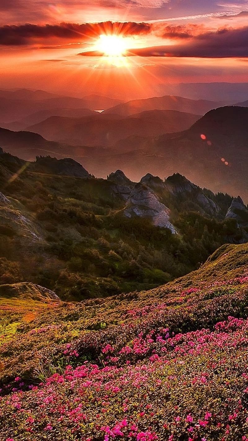 800x1422 Beautiful Mountain, Beautiful Mountain Sunset, HD phone wallpaper
