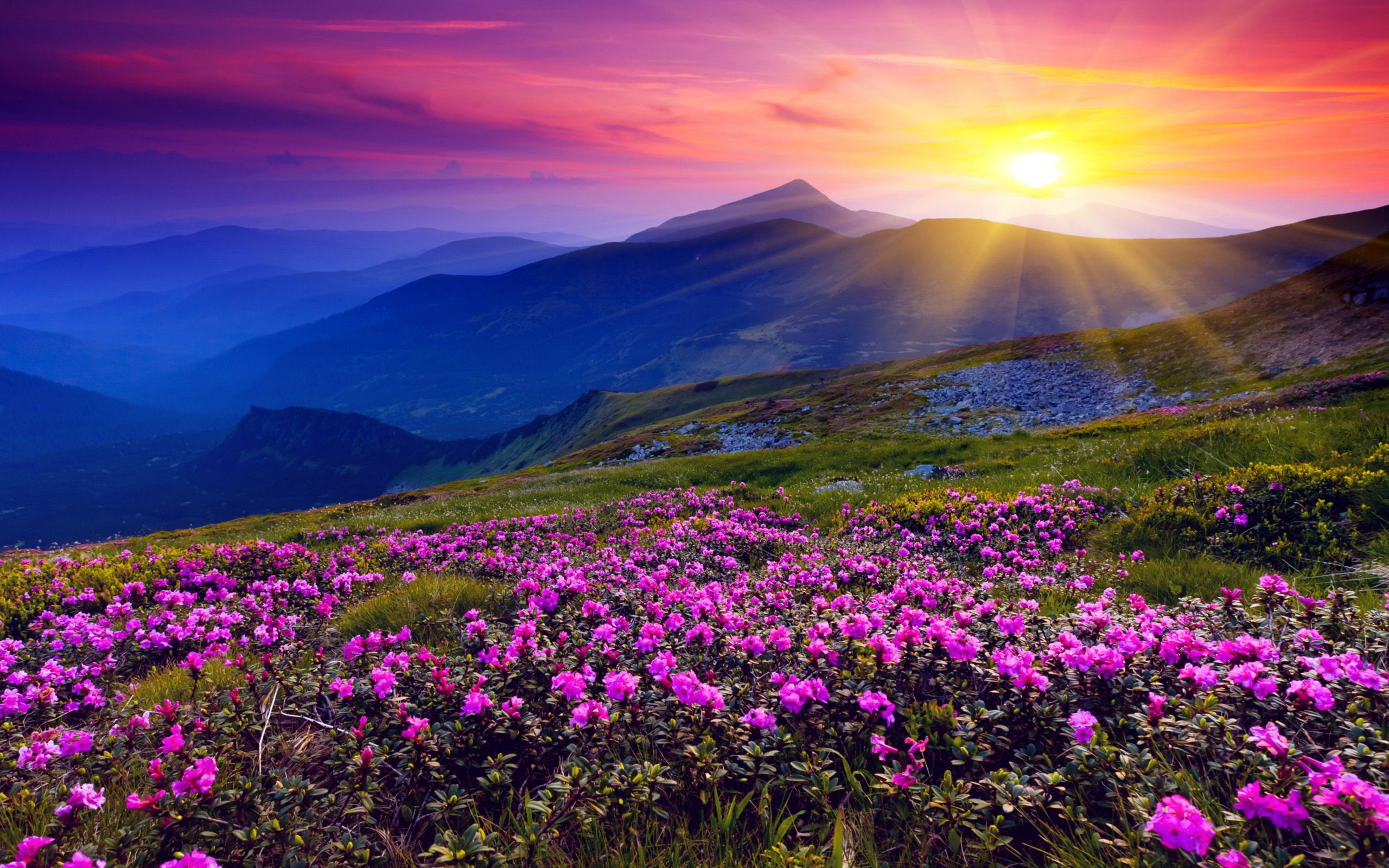 2560x1600 Beautiful Sunset Mountain Wallpaper HD / Desktop and Mobile Background