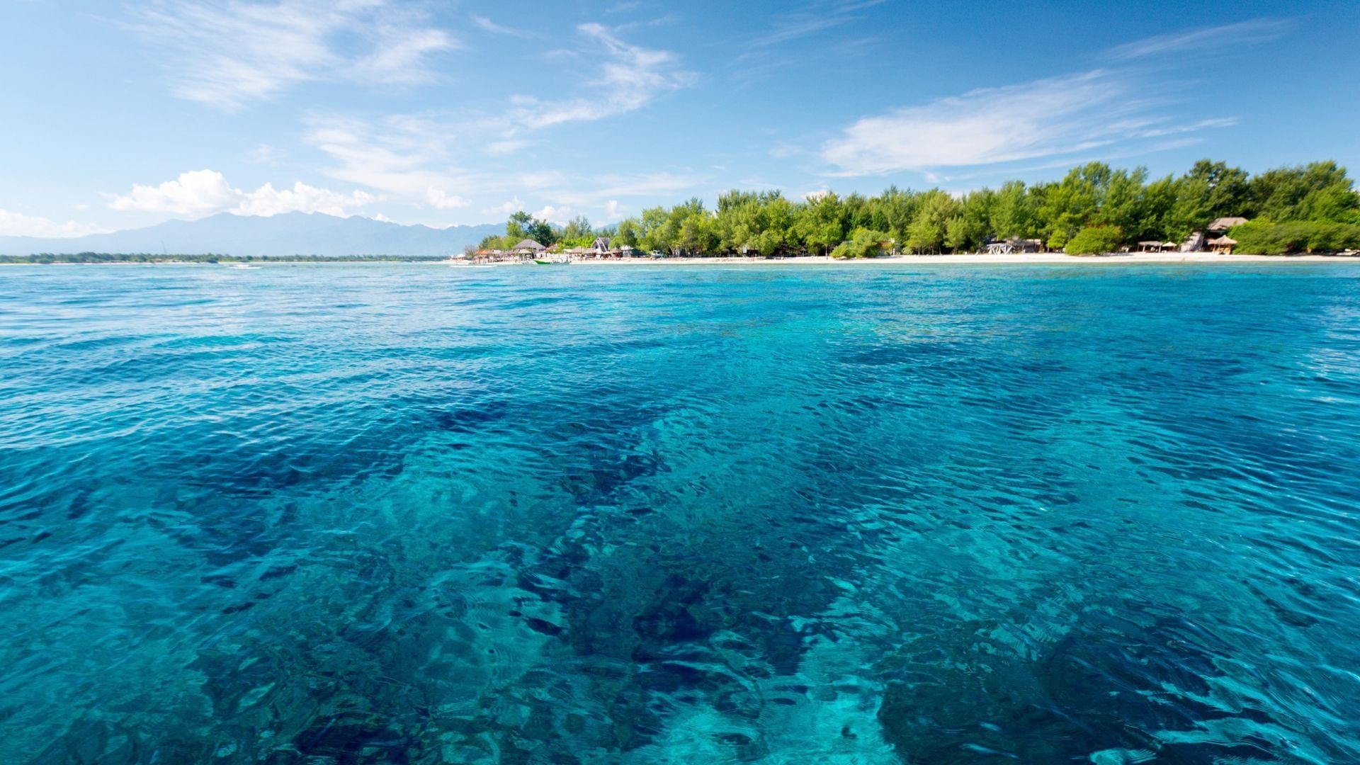 1920x1080 Manta Dive Resort on Gili Trawangan