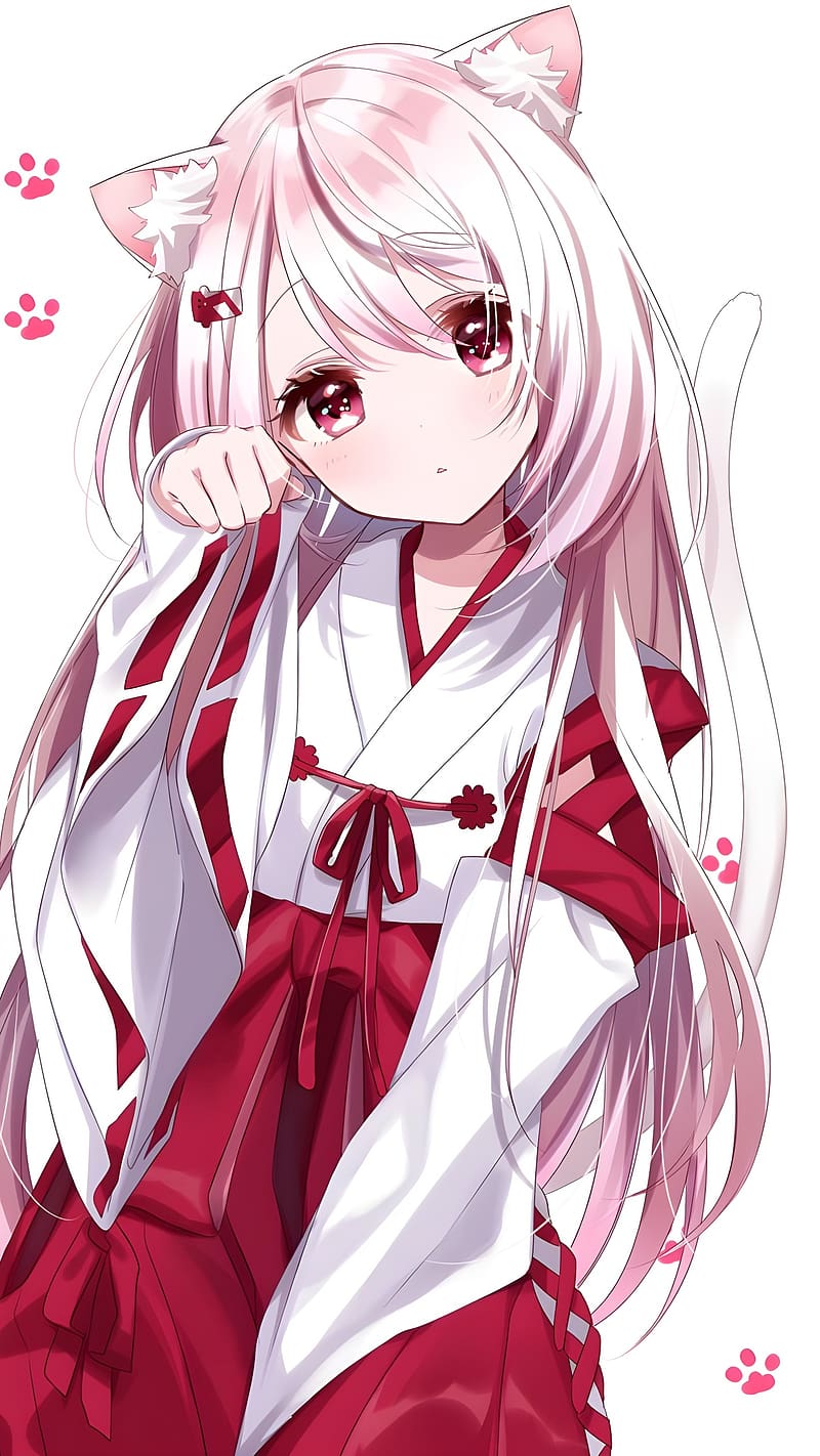 800x1422 Cute Anime Cat Girl, maroon dress cat girl, anime, HD phone wallpaper