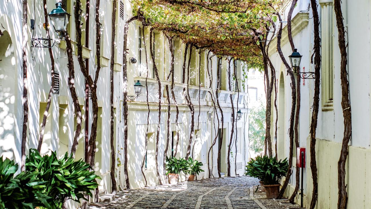 1280x720 Why Jerez de la Frontera in Spain is a budding wine destination