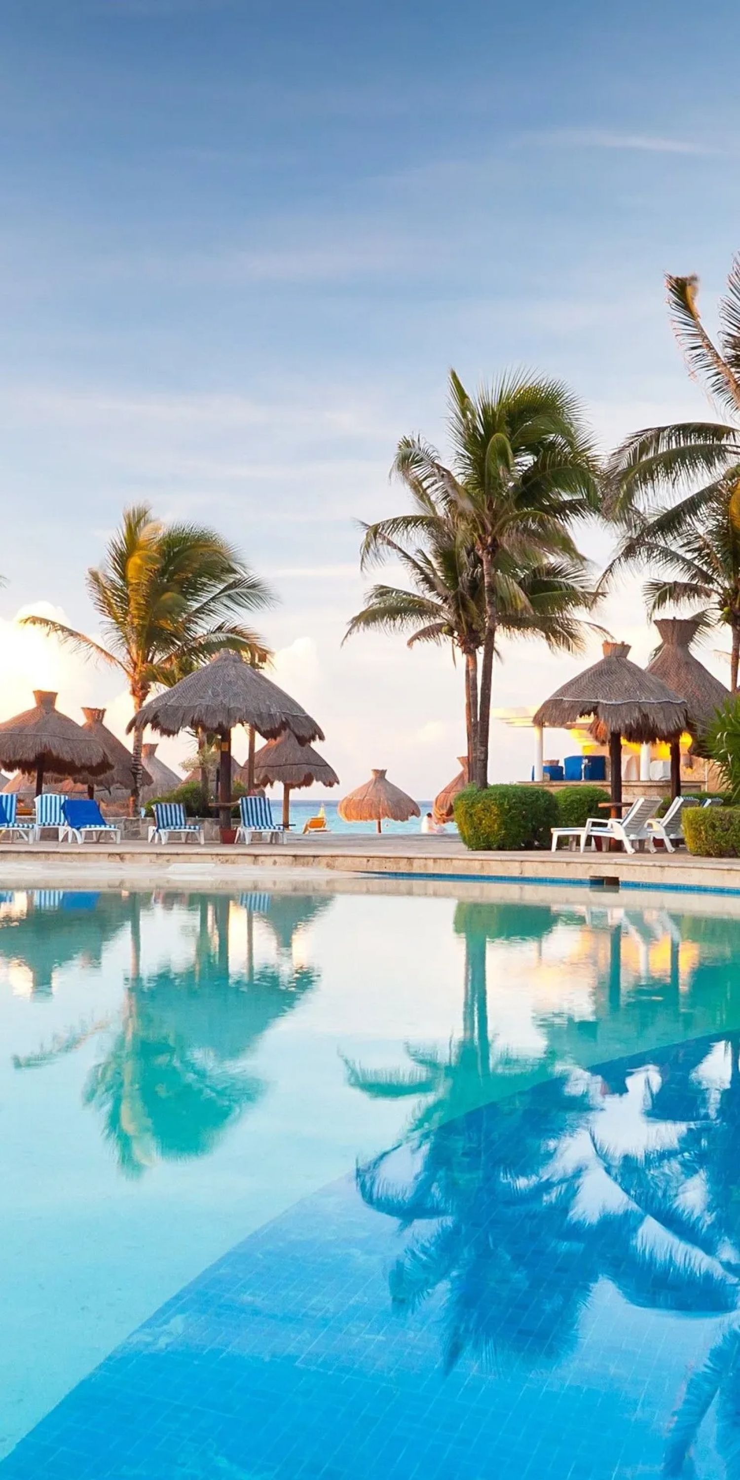 1500x3000 Tropical Summer Holiday Pool Palm Trees