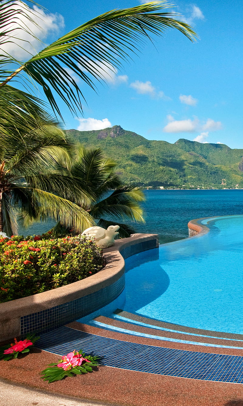 800x1336 Island Pool, holiday, island, pool, resort, travel, tropical, vacation, HD phone wallpaper