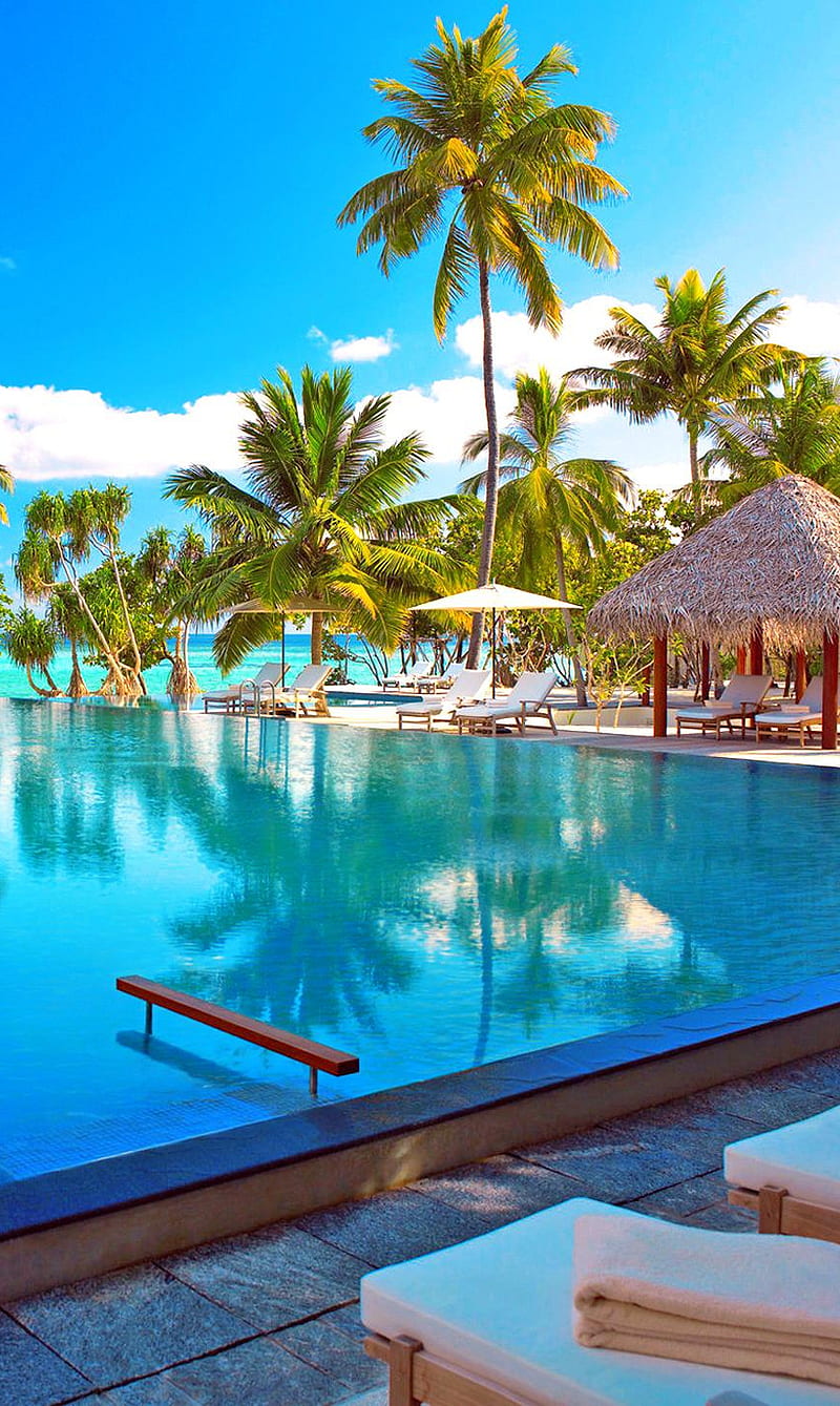800x1339 Maldives Resort, holiday, island, maldives, pool, resort, tropical, vacation, HD phone wallpaper