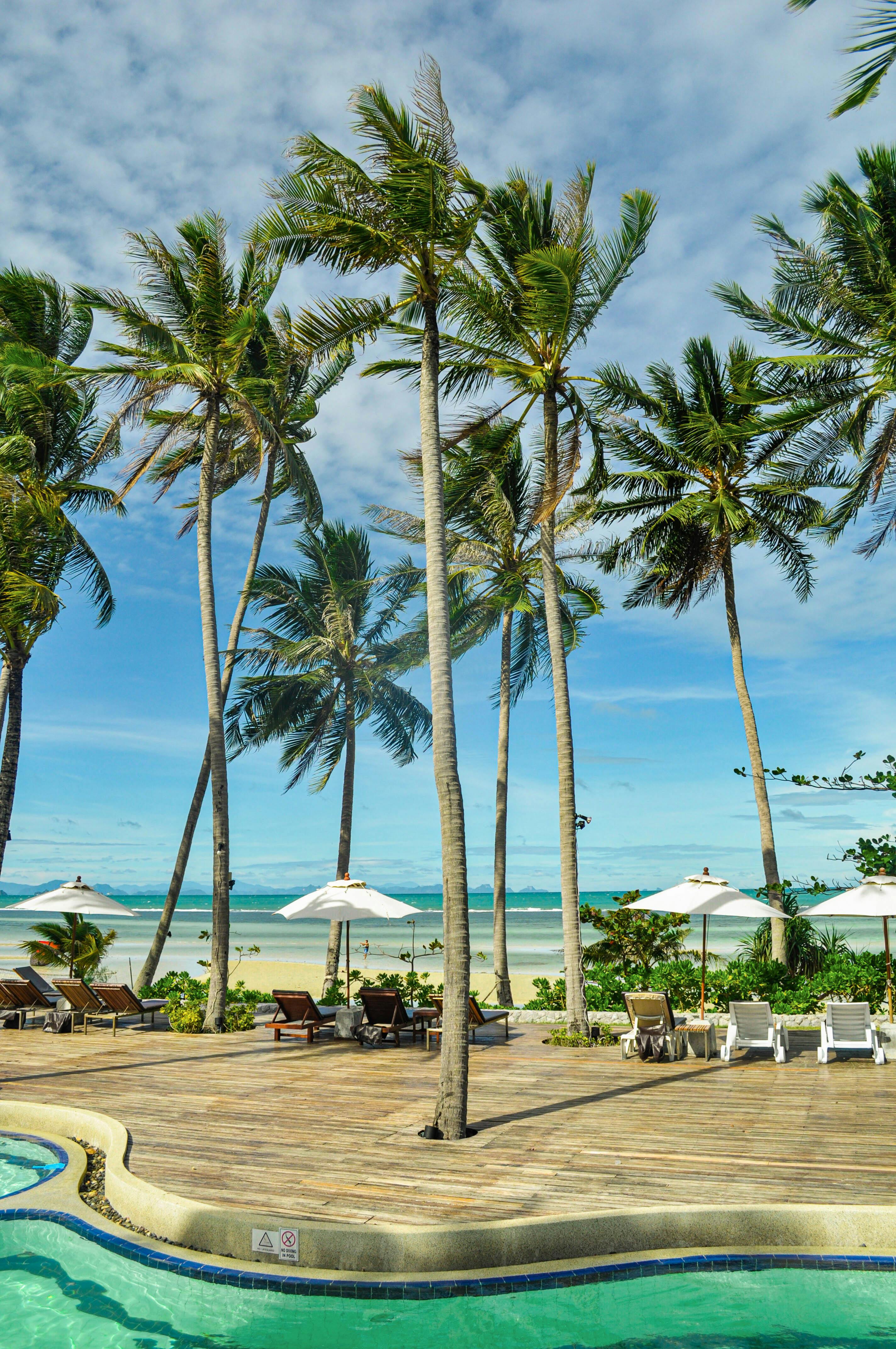 2848x4288 Tropical Beach Resort and Hotel in Koh Samui Thailand · Free