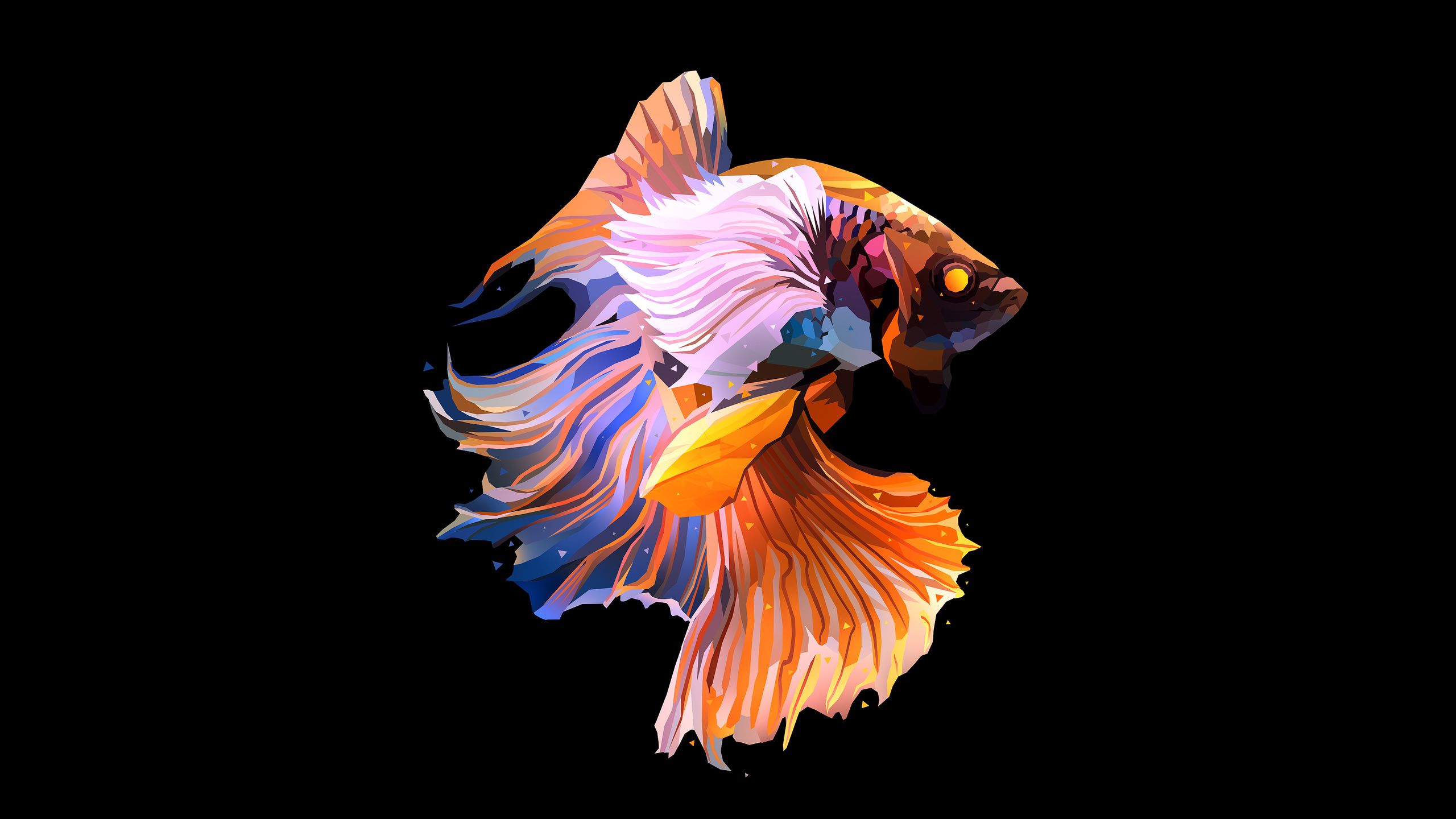 2560x1440 Fish Oled Dark 1440P Resolution , HD 4k Wallpaper, Image, Background, Photos and Picture