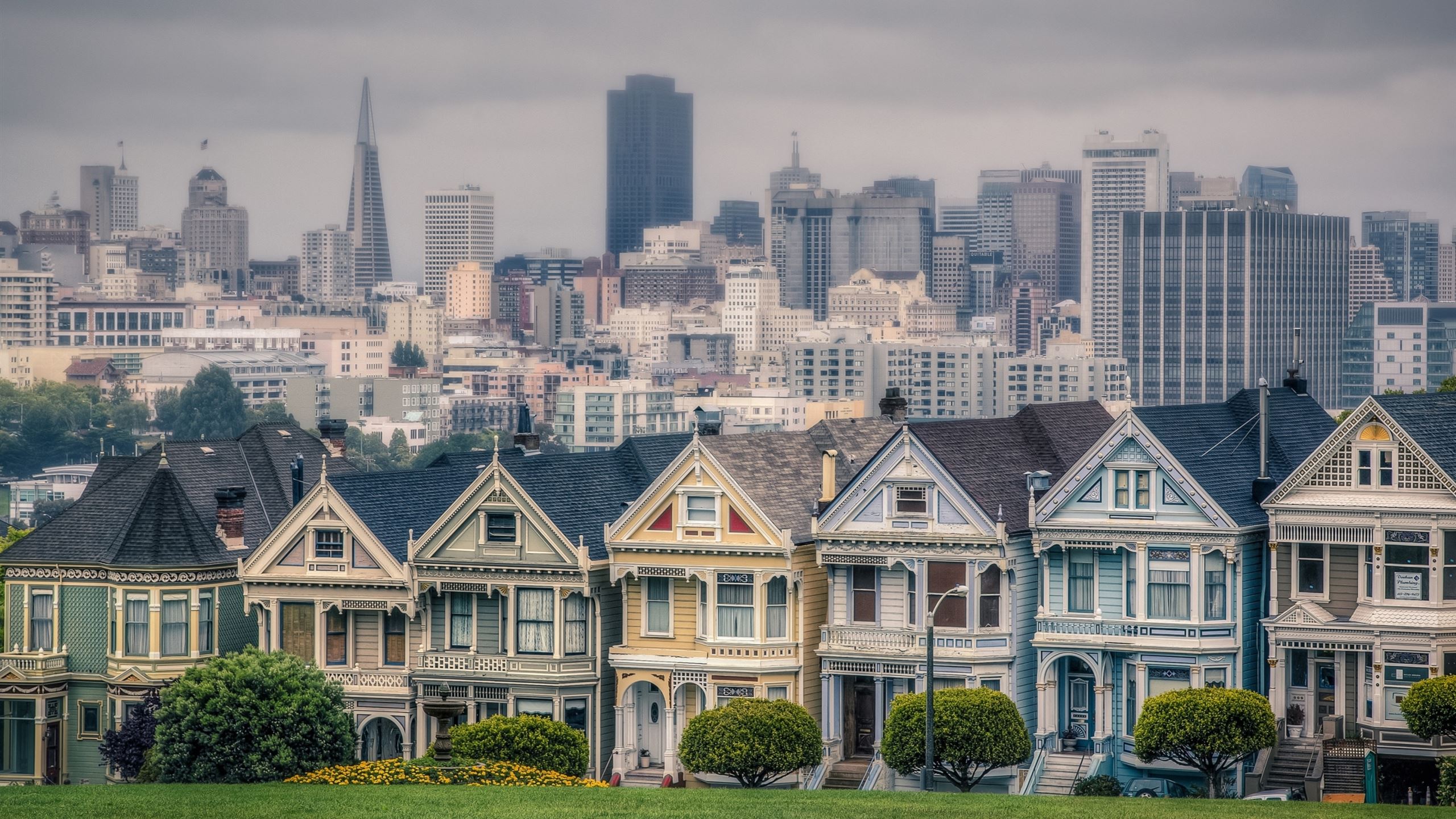 2560x1440 Victorian Houses In Alamo Square San Francisco California USA MacBook Air Wallpaper Download