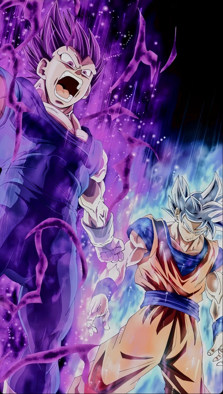 736x1301 ultra ego Vegeta and ultra instinct Goku HD wallpaper